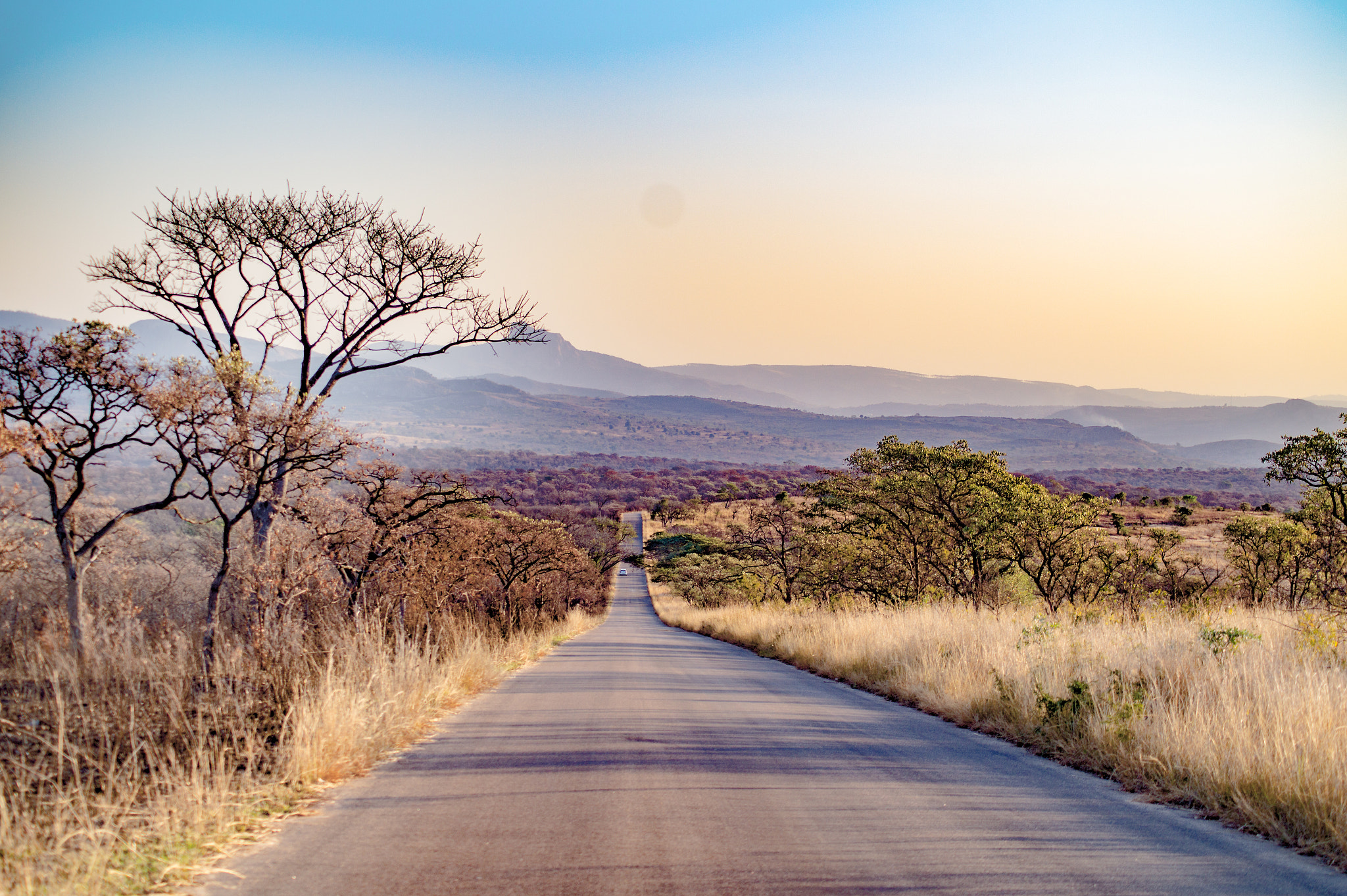 Tamron AF 55-200mm F4-5.6 Di II LD Macro sample photo. The road ahead photography