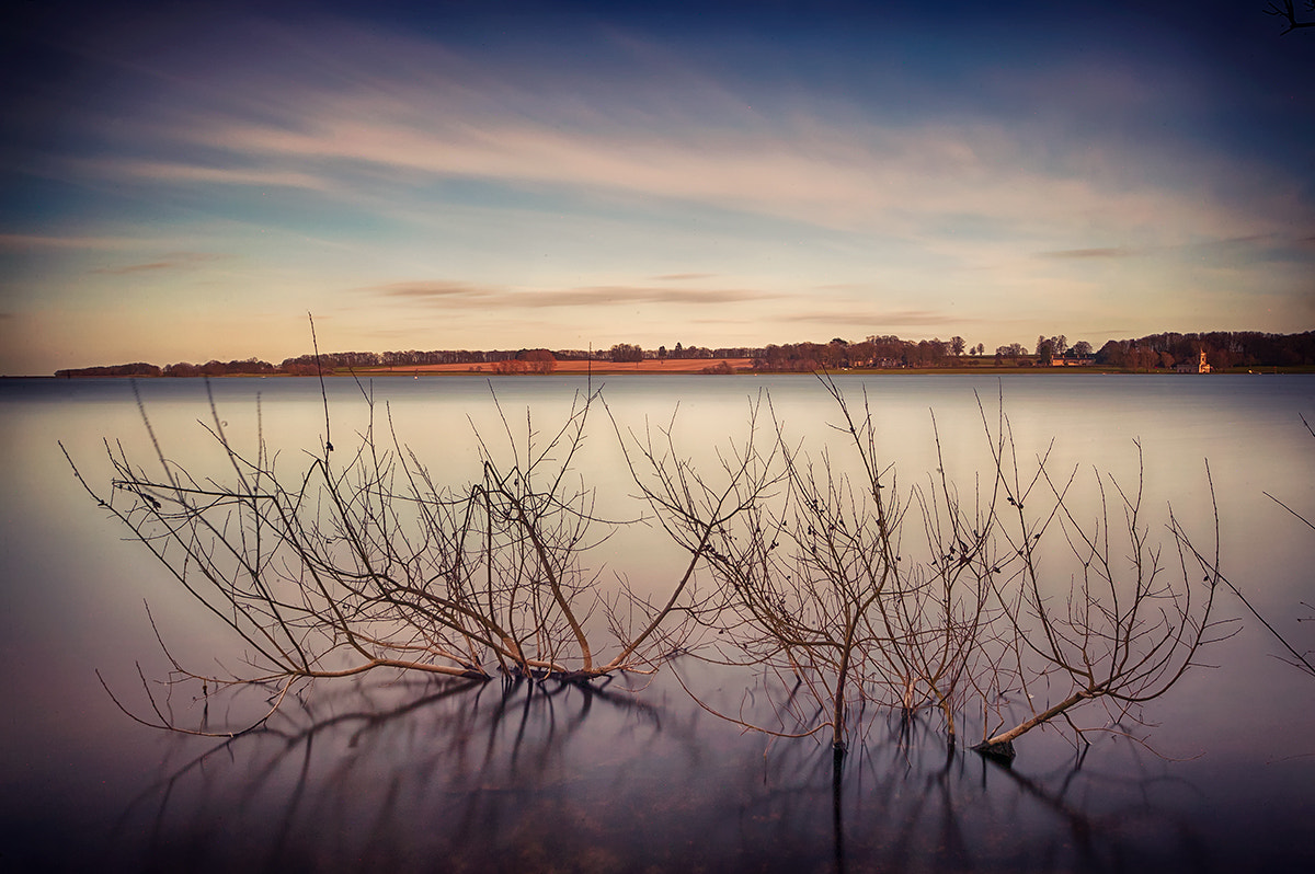 Canon EOS-1Ds sample photo. Creepers photography