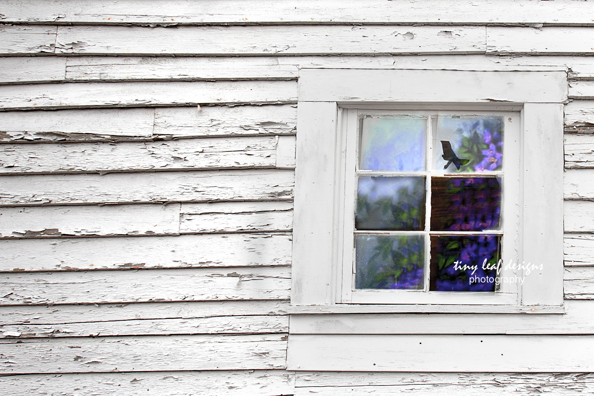 Canon EOS 6D + Canon EF 16-35mm F2.8L USM sample photo. :: the window :: photography