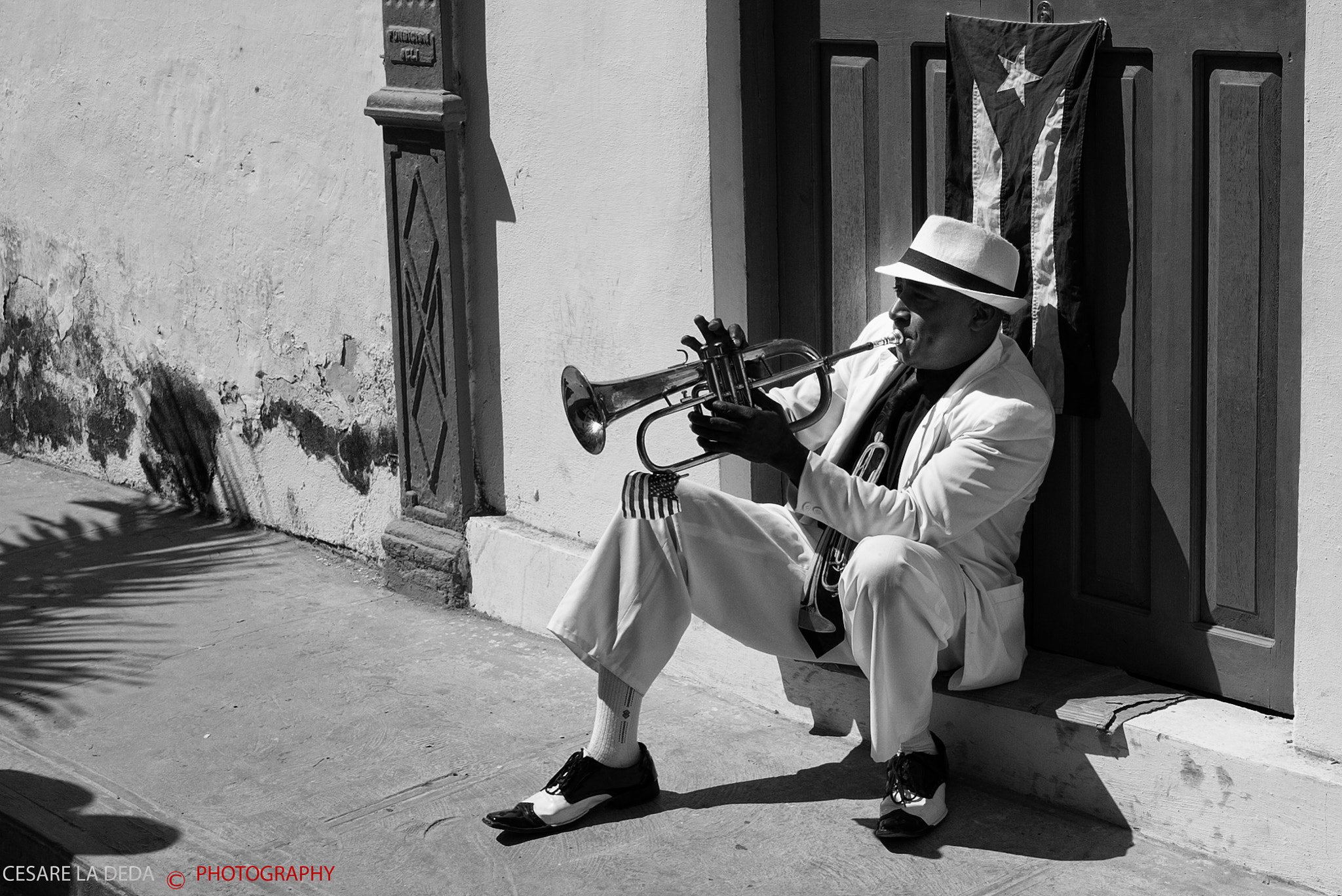 Leica Super-Elmar-M 21mm F3.4 ASPH sample photo. Trumpeter photography