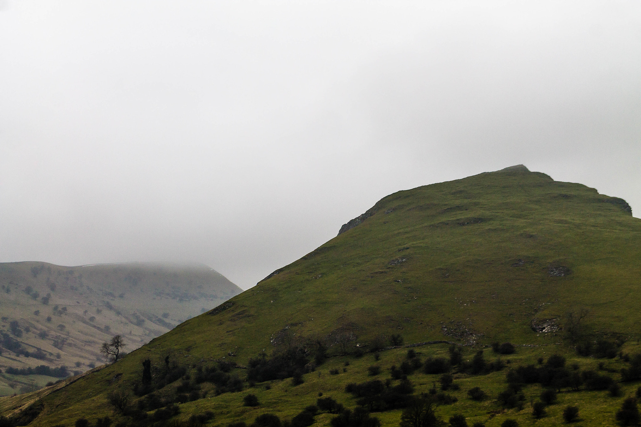 Canon EF 75-300mm f/4-5.6 USM sample photo. Misty day photography