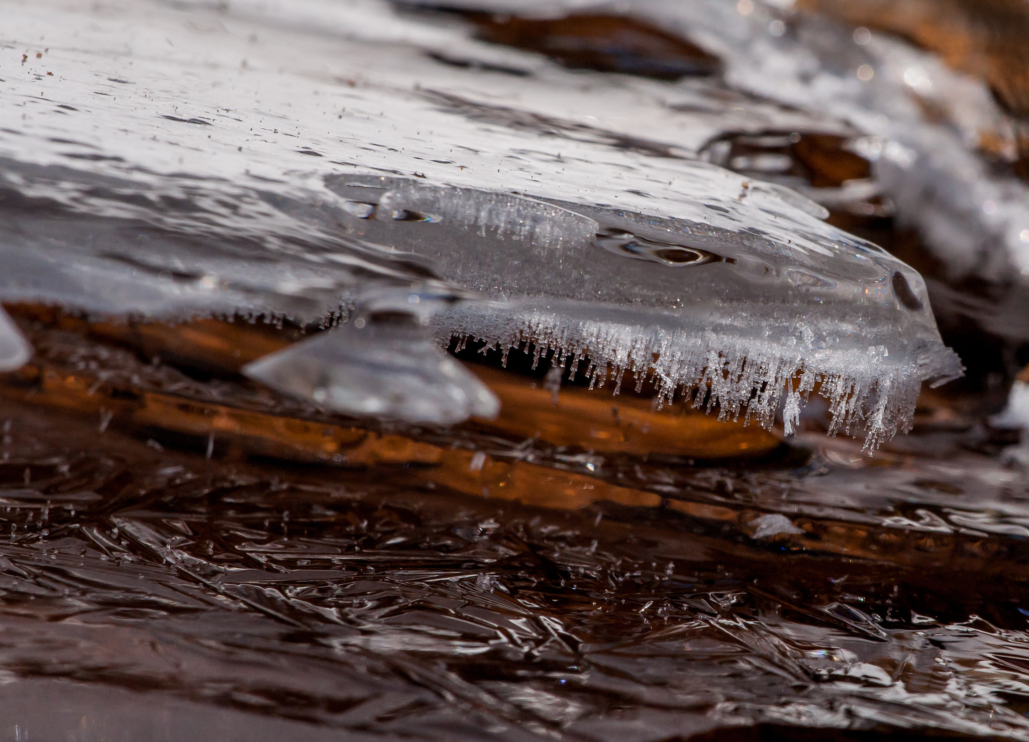 Sony 70-300mm F4.5-5.6 G SSM sample photo. Ice snake photography