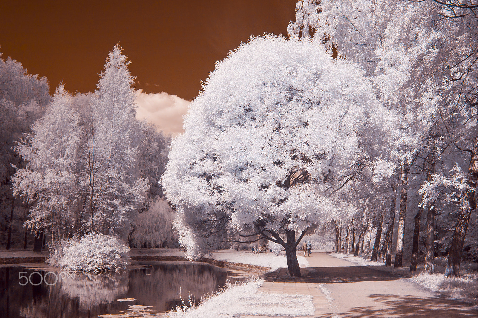 Nikon D70s sample photo. Infrared landscape photography