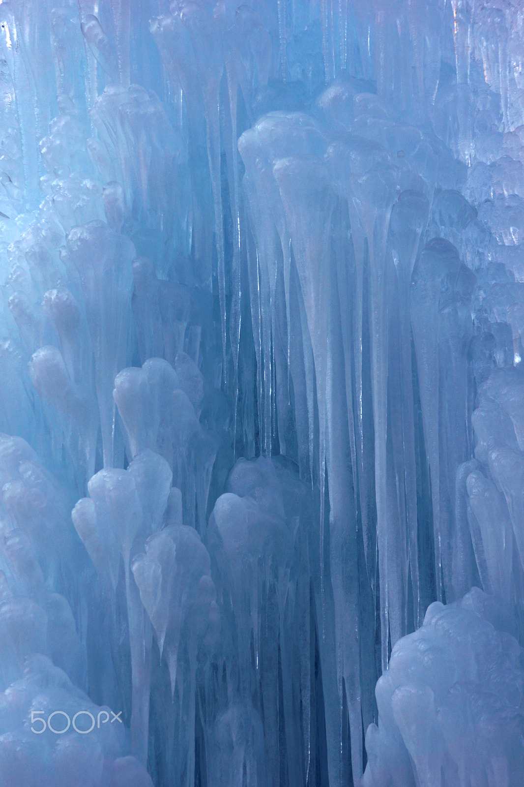 Sony DT 55-200mm F4-5.6 SAM sample photo. Ice cold photography