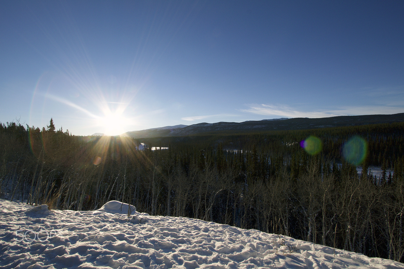 Canon EF-S 10-22mm F3.5-4.5 USM sample photo. Just out for a walk on a beautiful winter day. photography