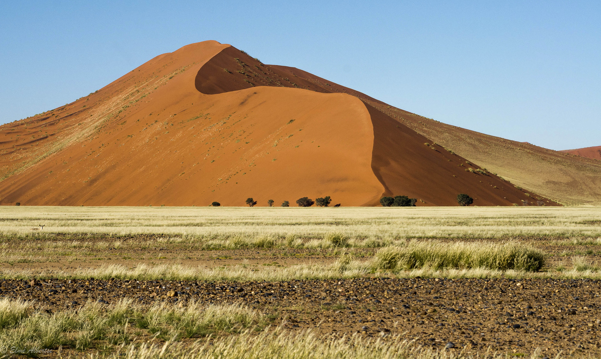 Sony Alpha DSLR-A500 + Sigma 70-300mm F4-5.6 DL Macro sample photo. Red sands photography