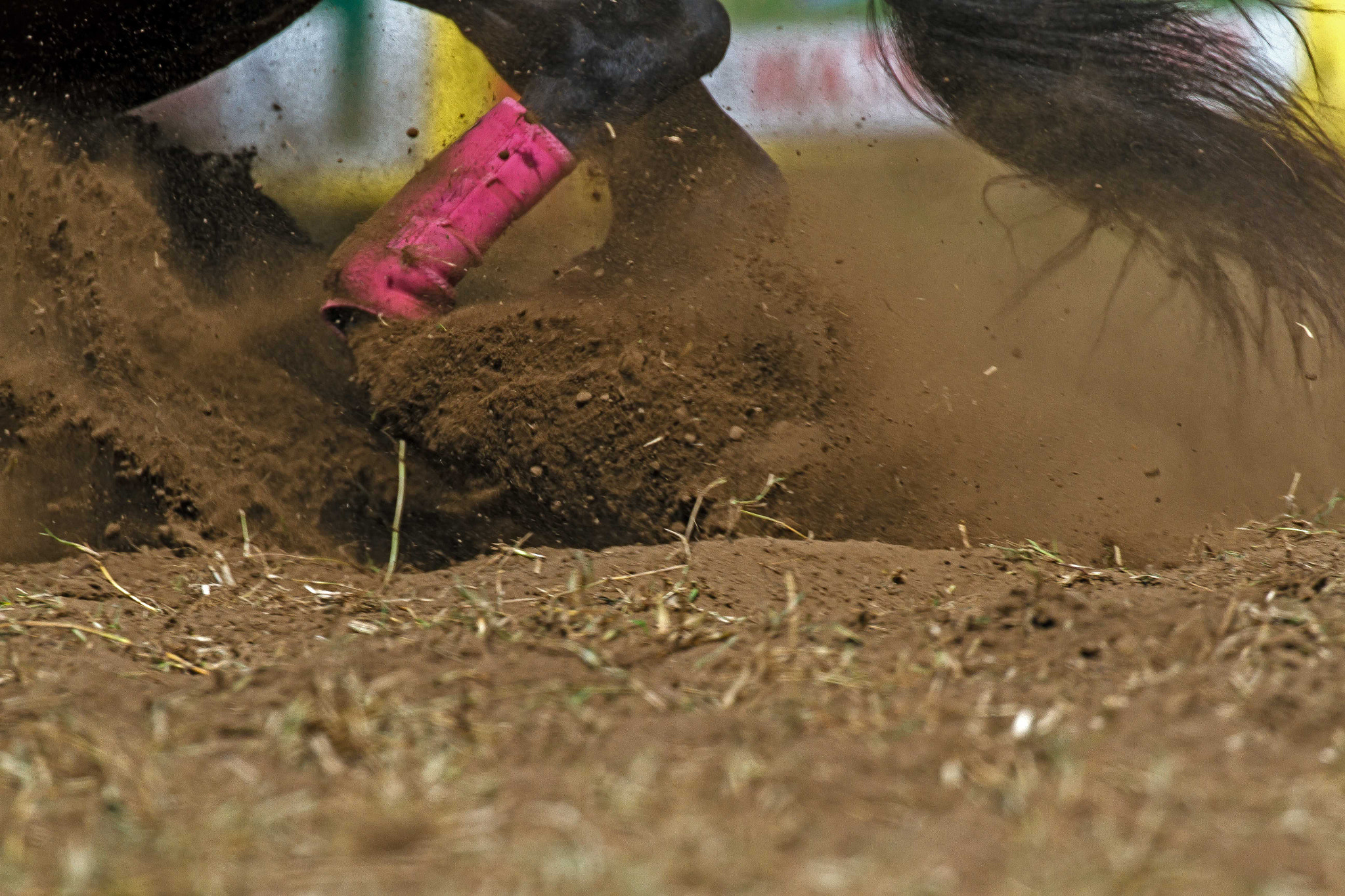 Canon EF 100-400mm F4.5-5.6L IS II USM sample photo. Hooves power photography