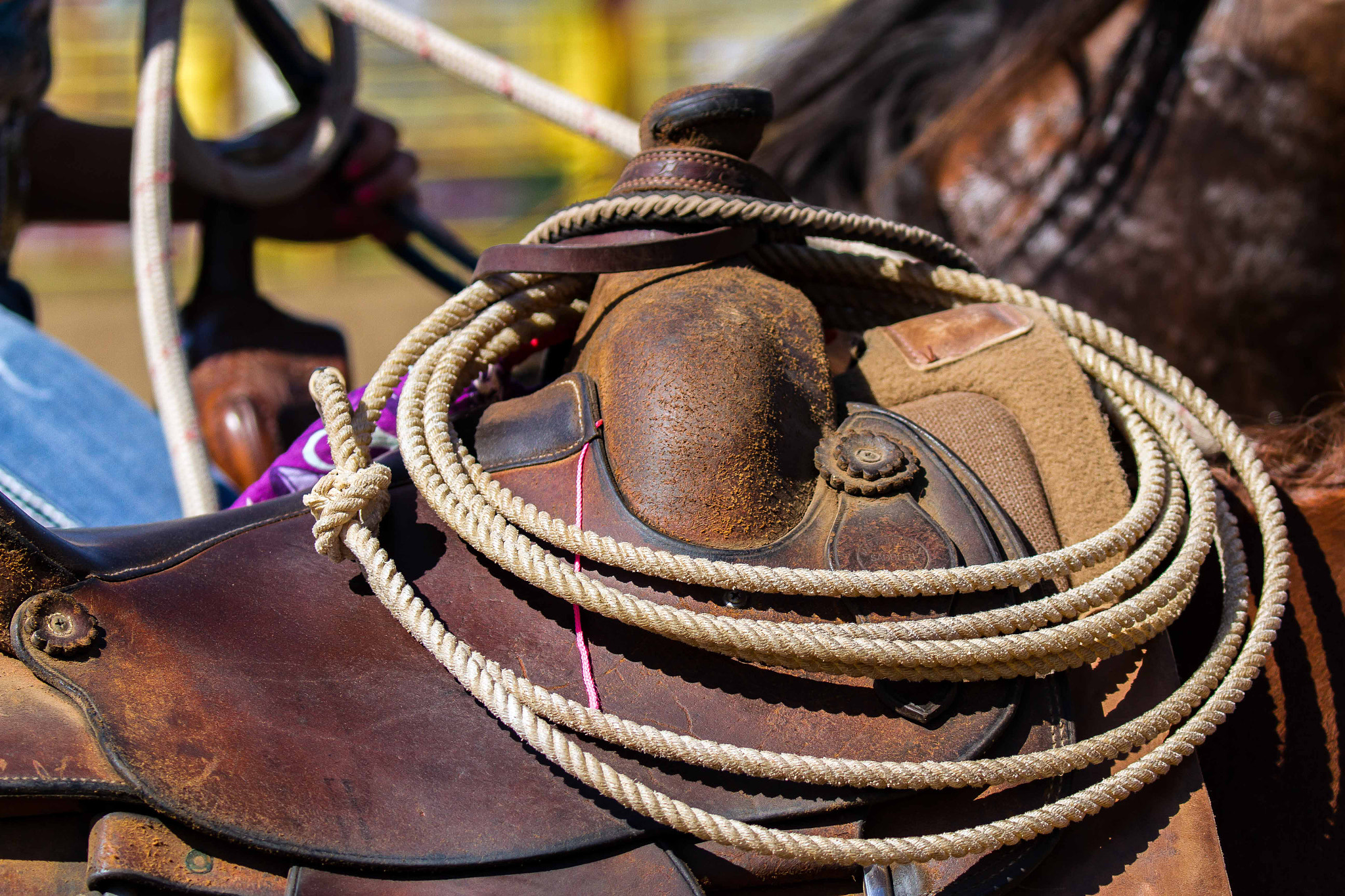 Canon EF 100-400mm F4.5-5.6L IS II USM sample photo. Lasso and saddle photography