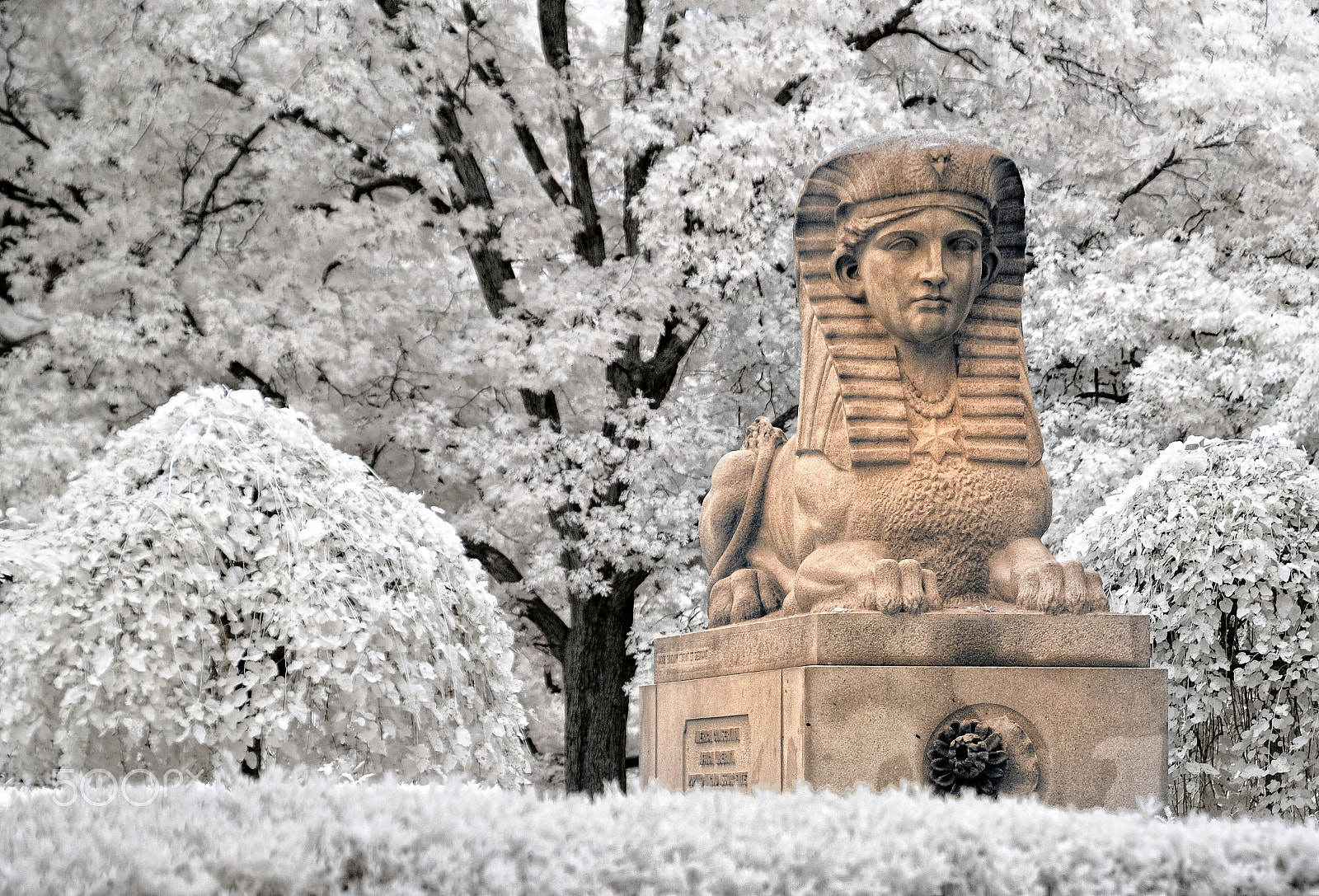 Nikon D70s sample photo. Sphinx photography