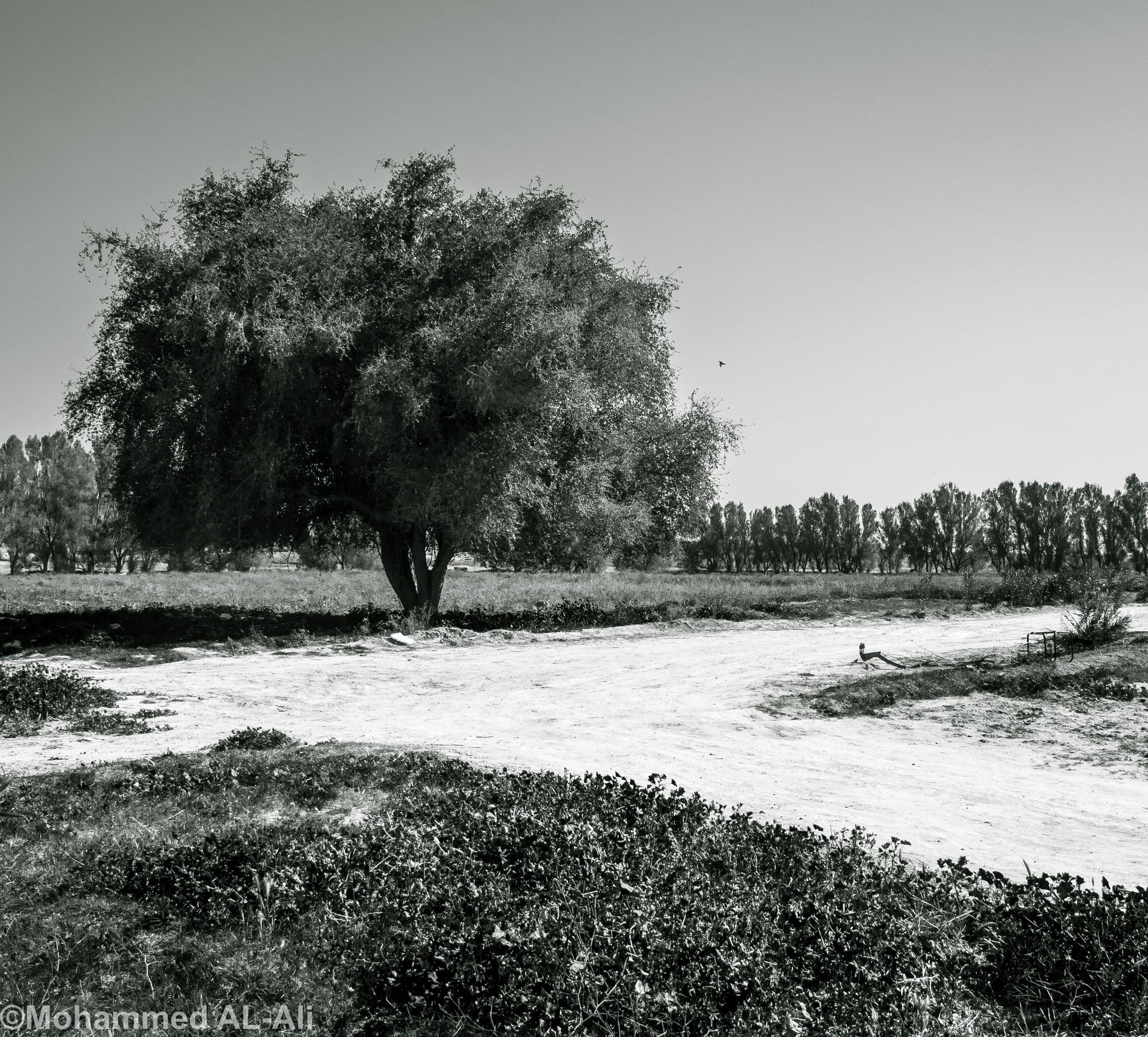 Olympus PEN E-PL7 sample photo. Cross roads photography