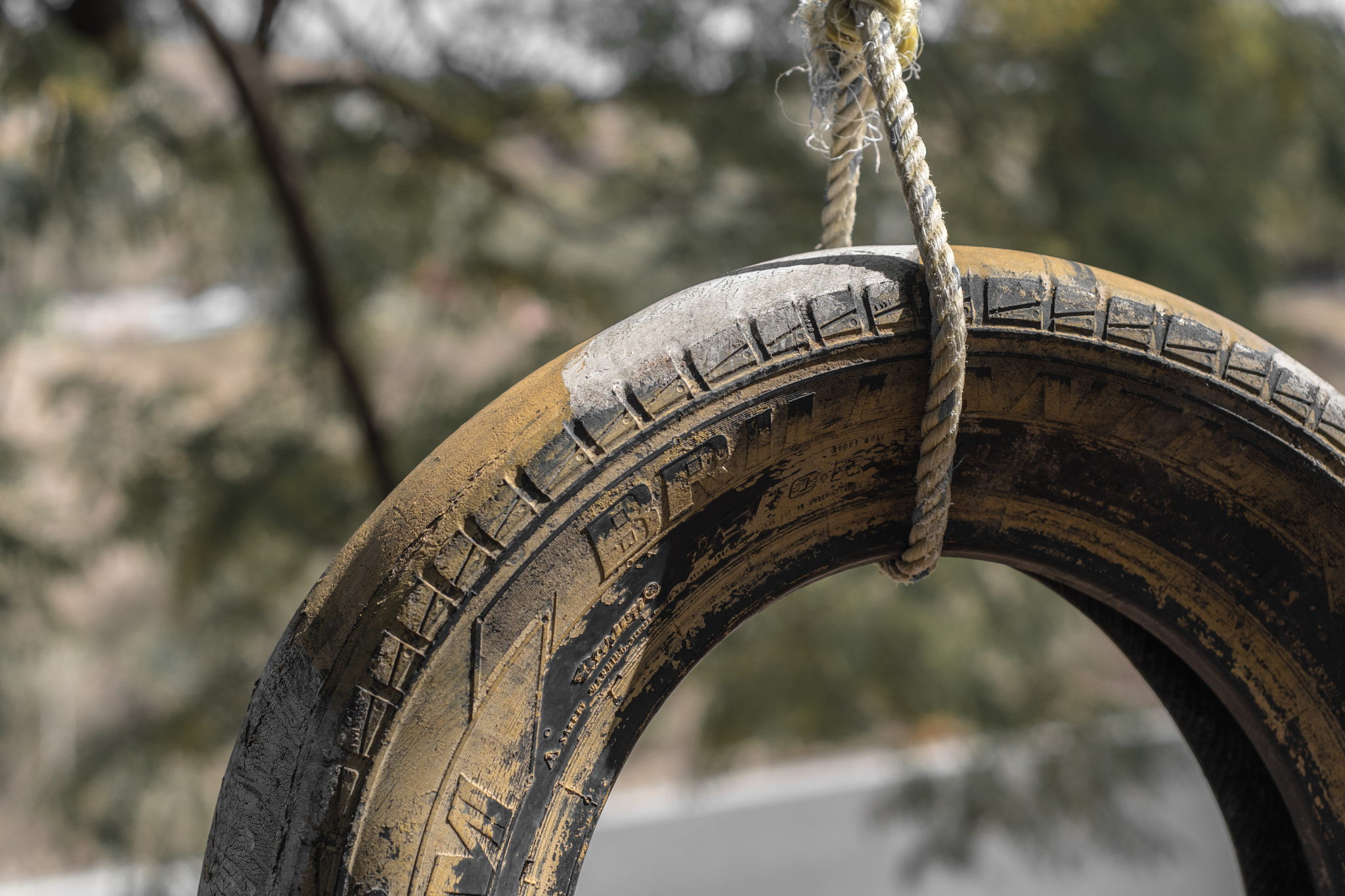 Nikon D5500 + Nikon AF Nikkor 50mm F1.8D sample photo. The wheel photography