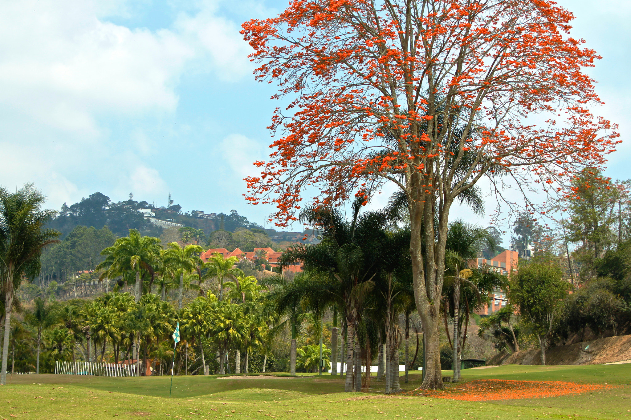 Canon EF 35-105mm f/4.5-5.6 sample photo. Lagunita country club photography