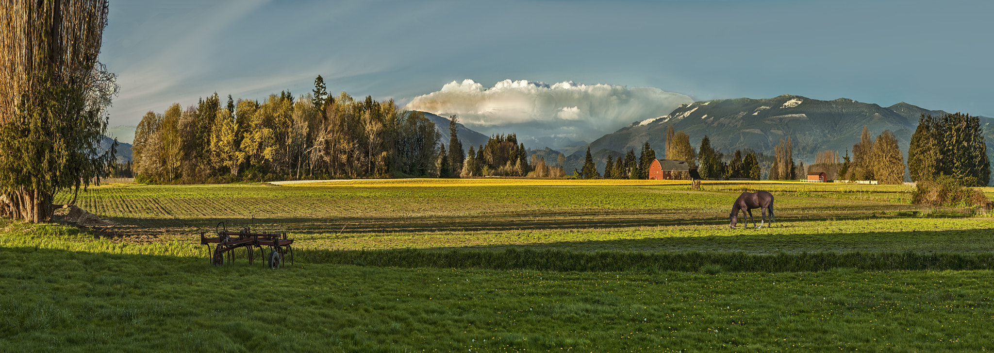 Nikon D3X sample photo. The pastoral photography