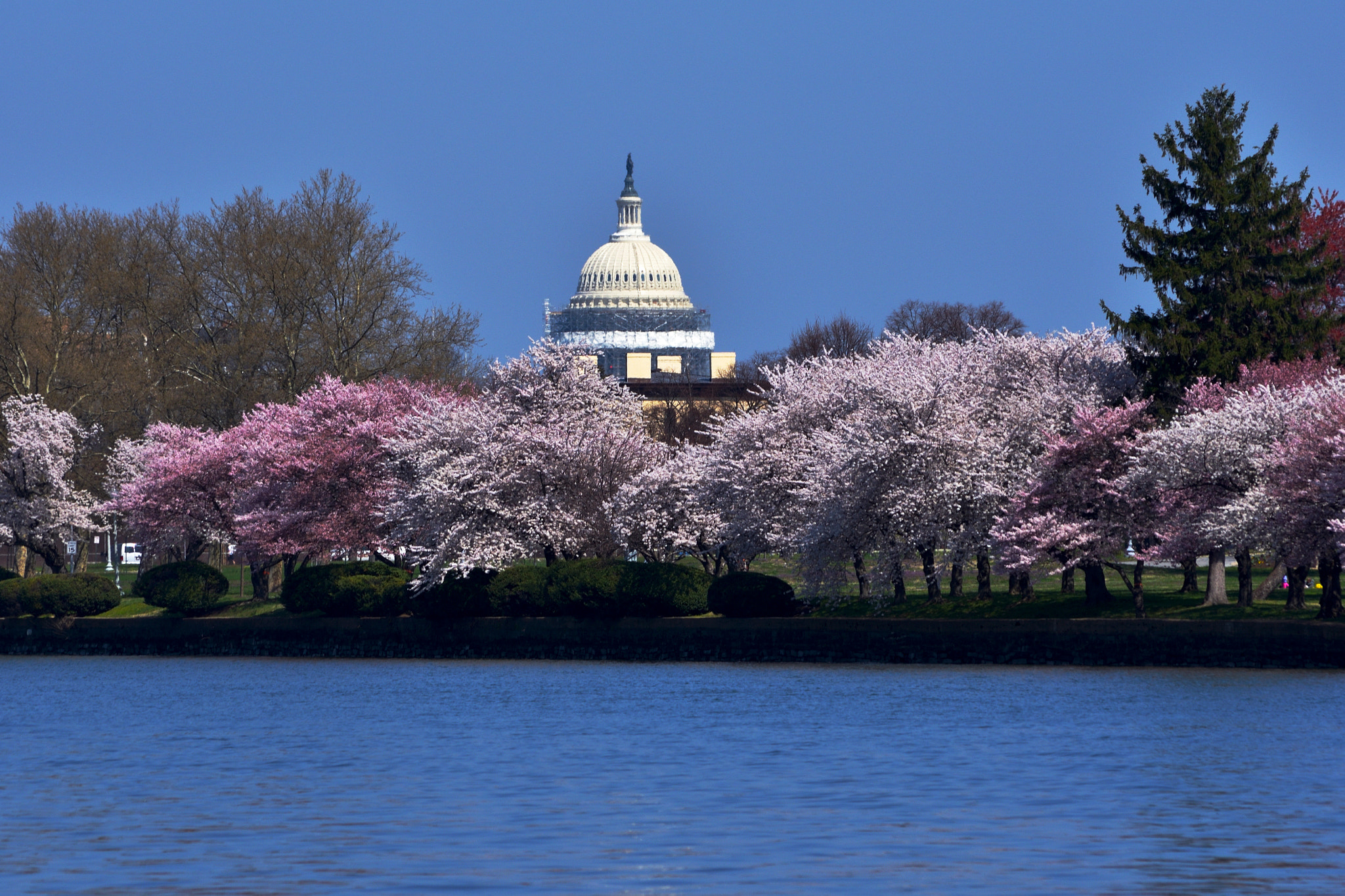 Nikon AF-S Nikkor 400mm F2.8D ED-IF II sample photo. Capitol building photography