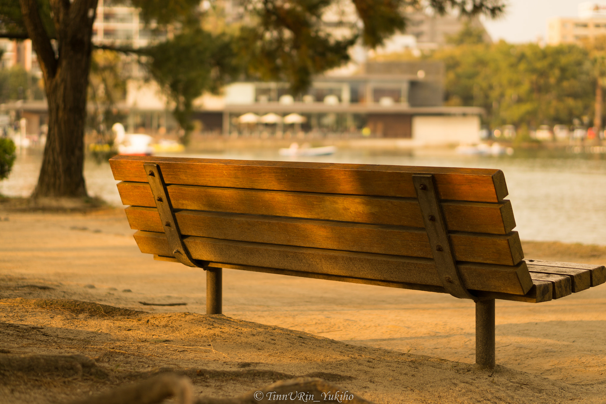 Sony a5100 + E 50mm F1.8 OSS sample photo. Tranquil and appealing photography