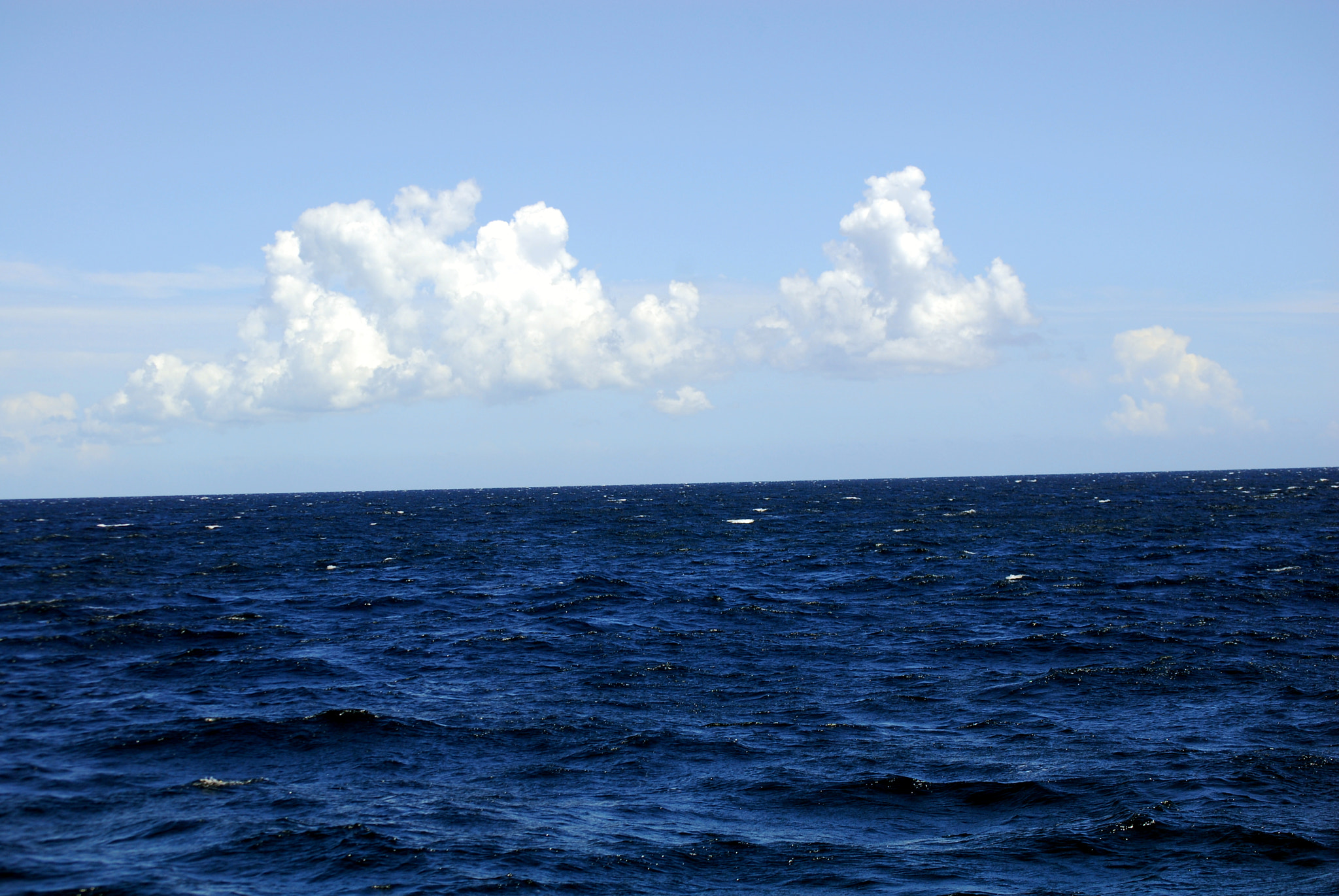 Nikon D200 sample photo. Altos de caribbean photography