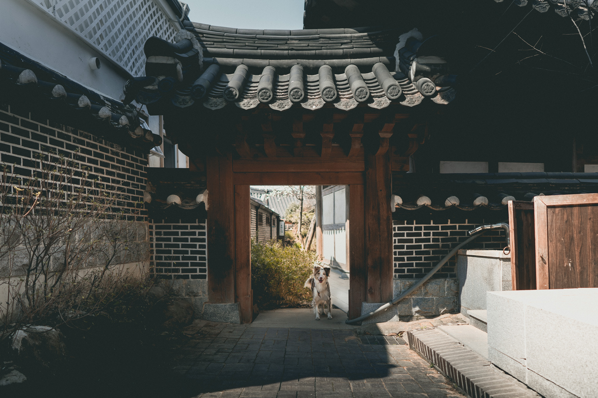 Sony a7 + ZEISS Batis 25mm F2 sample photo. Exploring korean village b photography