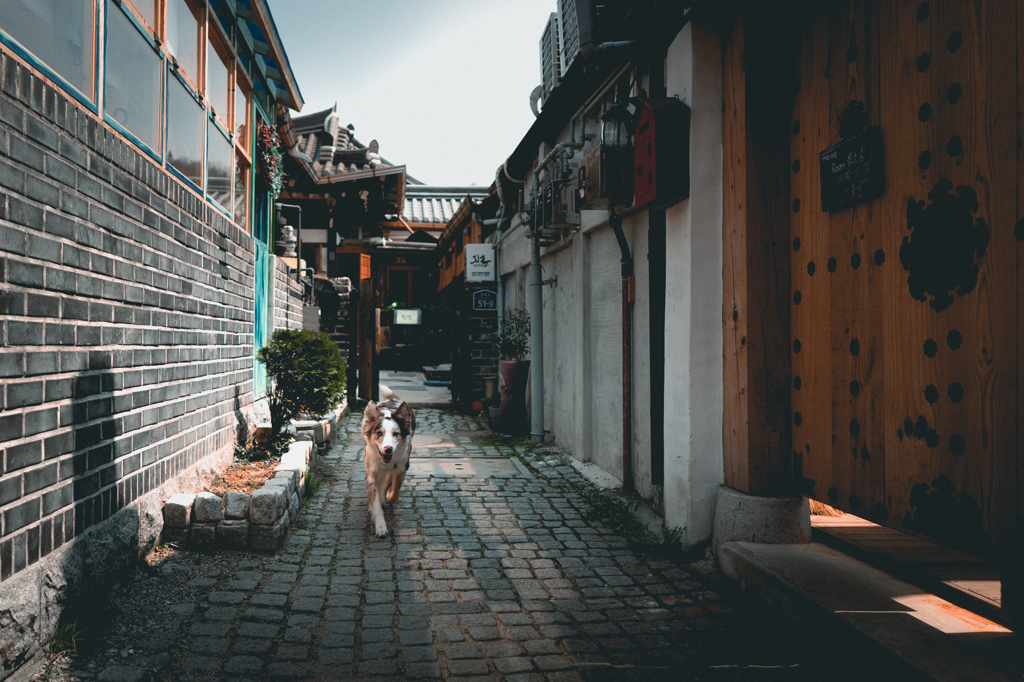 Sony a7 + ZEISS Batis 25mm F2 sample photo. Exploring korean village c photography
