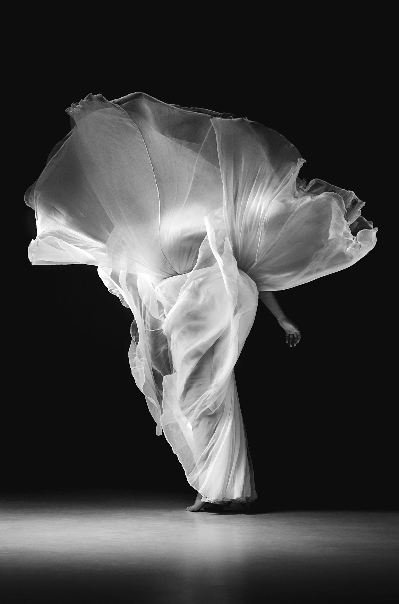 Hasselblad H5D-50c + HC 80 sample photo. Zosia photography