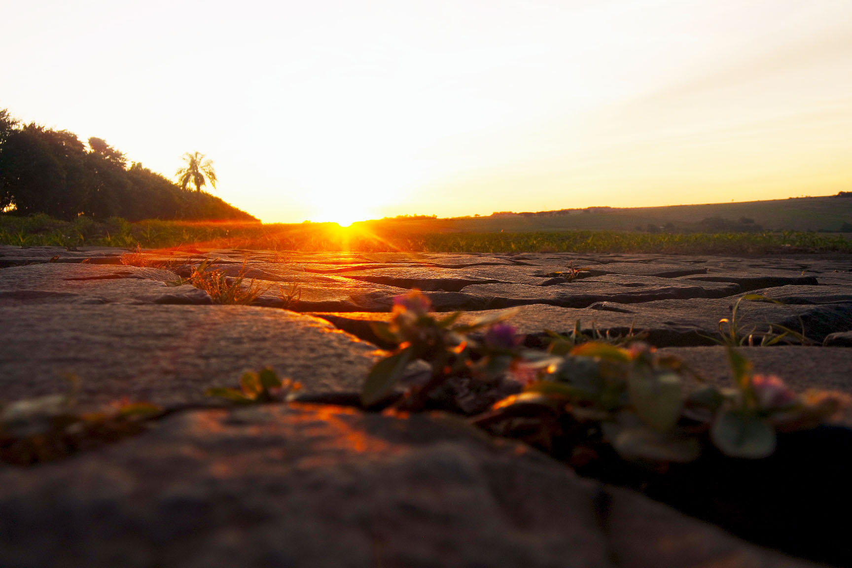 Samsung NX-M 9-27mm F3.5-5.6 ED OIS sample photo. Fim de tarde photography