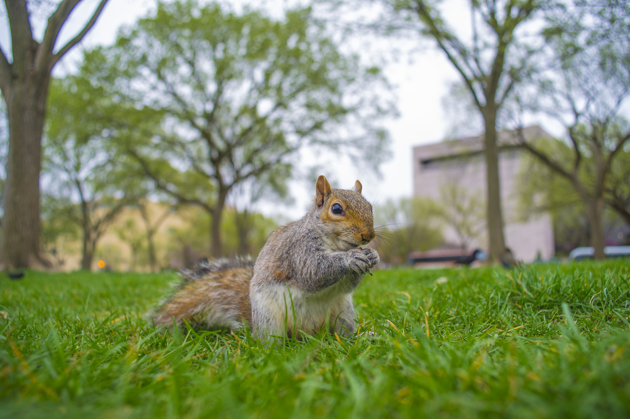 Sony Alpha DSLR-A850 + Sony 28mm F2.8 sample photo. Natural model.. photography