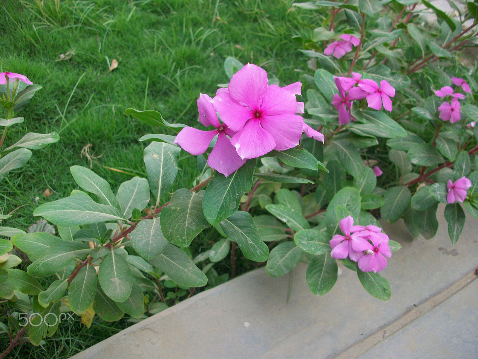 Kodak EASYSHARE M1063 DIGITAL CAMERA sample photo. Chavelita photography