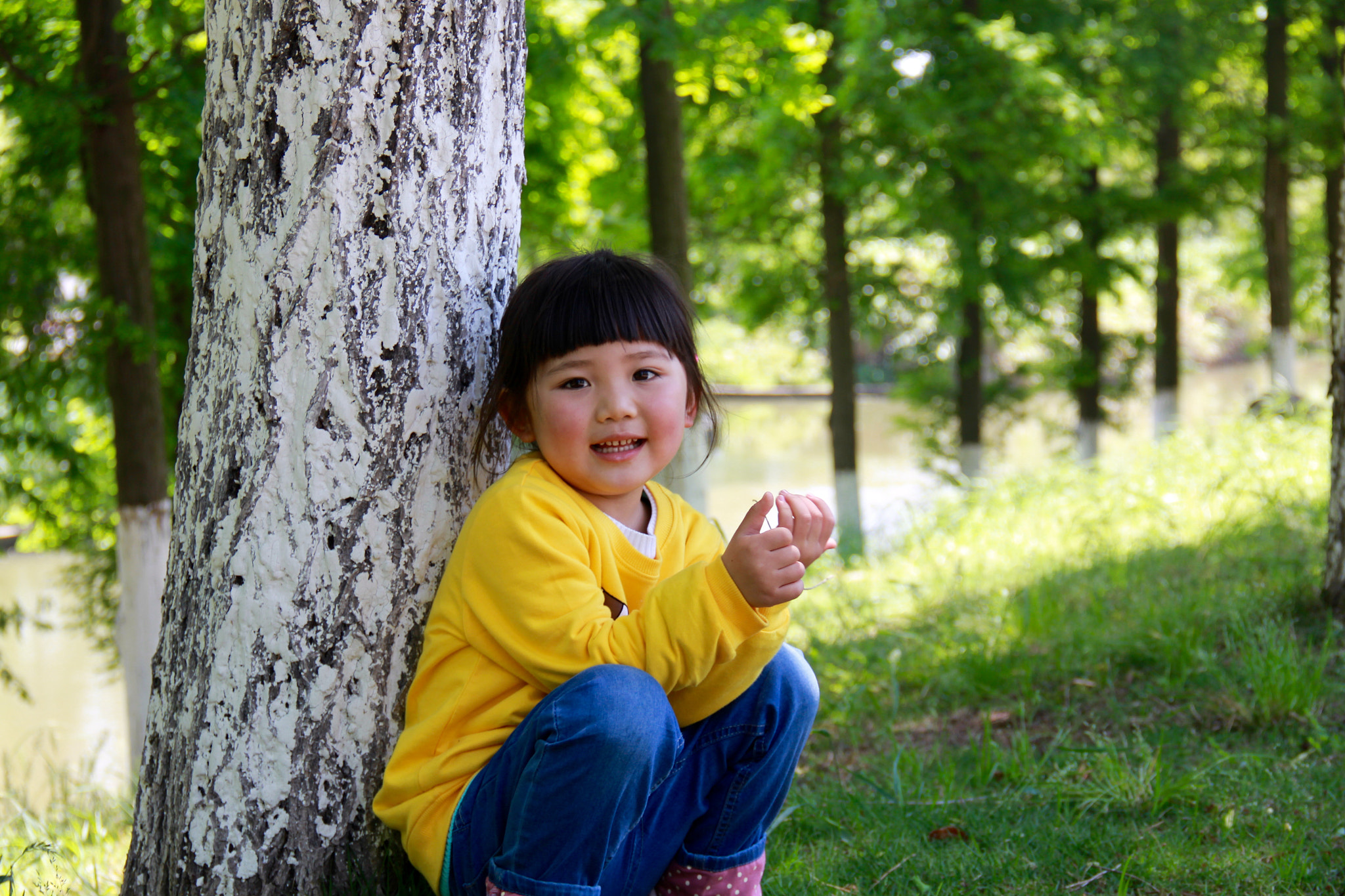 Canon EF-S 18-135mm F3.5-5.6 IS sample photo. 桐 photography