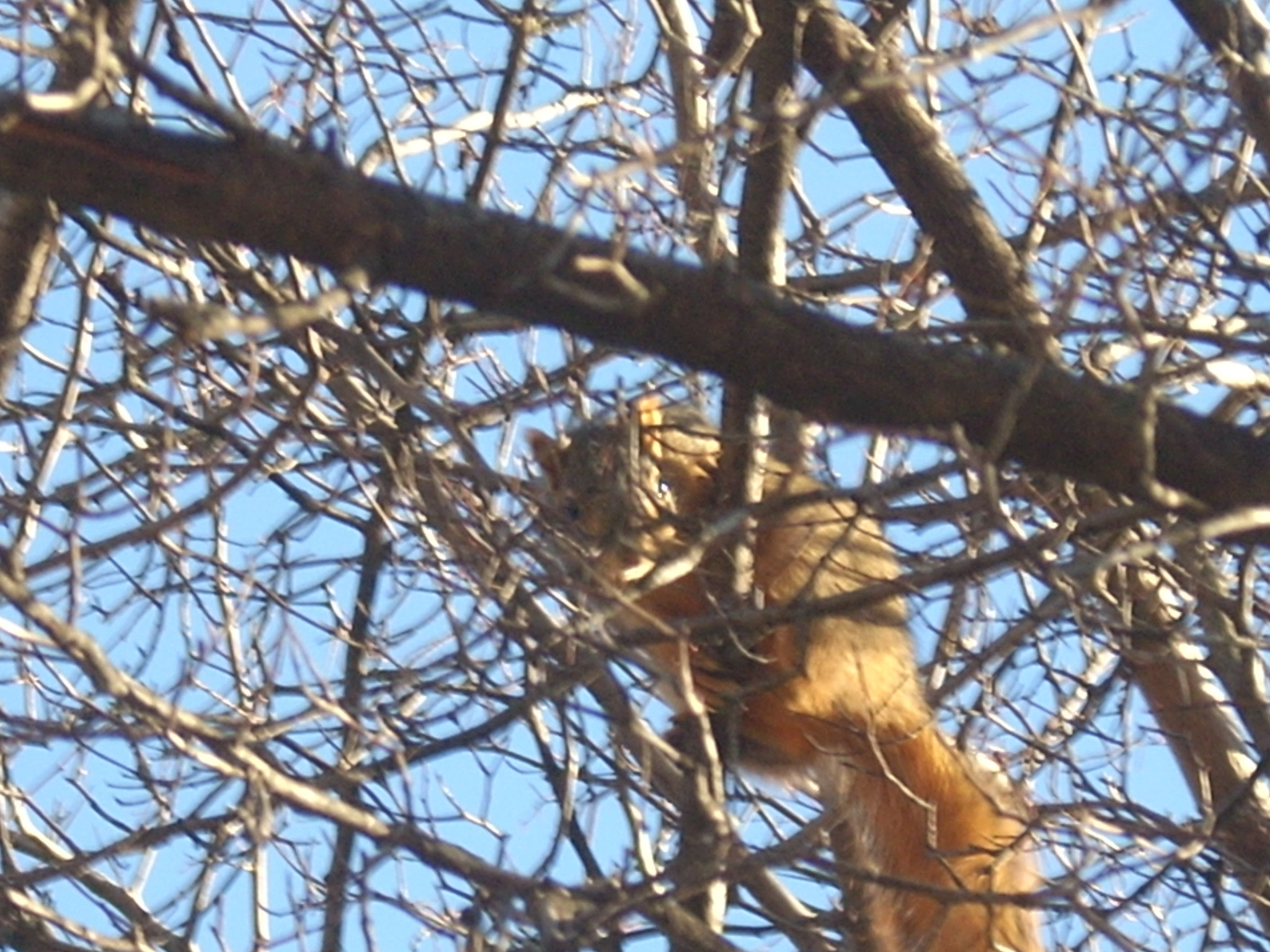 Nikon COOLPIX L10 sample photo. Someone is observing me photography