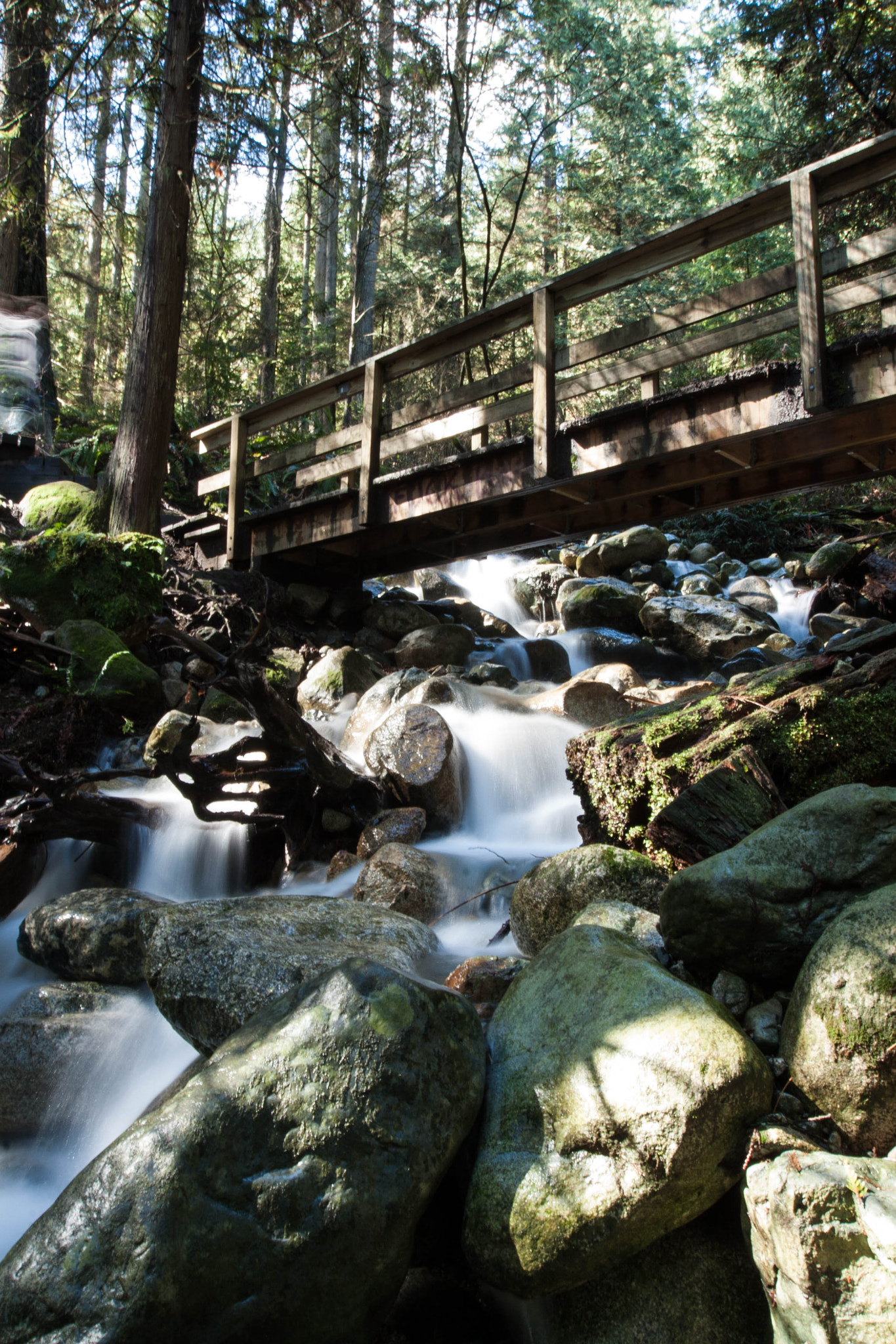 Canon EOS 30D sample photo. Flowing under the bridge photography