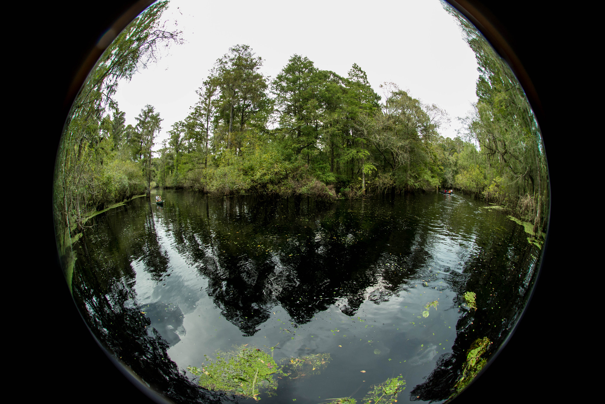 Nikon AF DX Fisheye-Nikkor 10.5mm F2.8G ED sample photo. The river photography