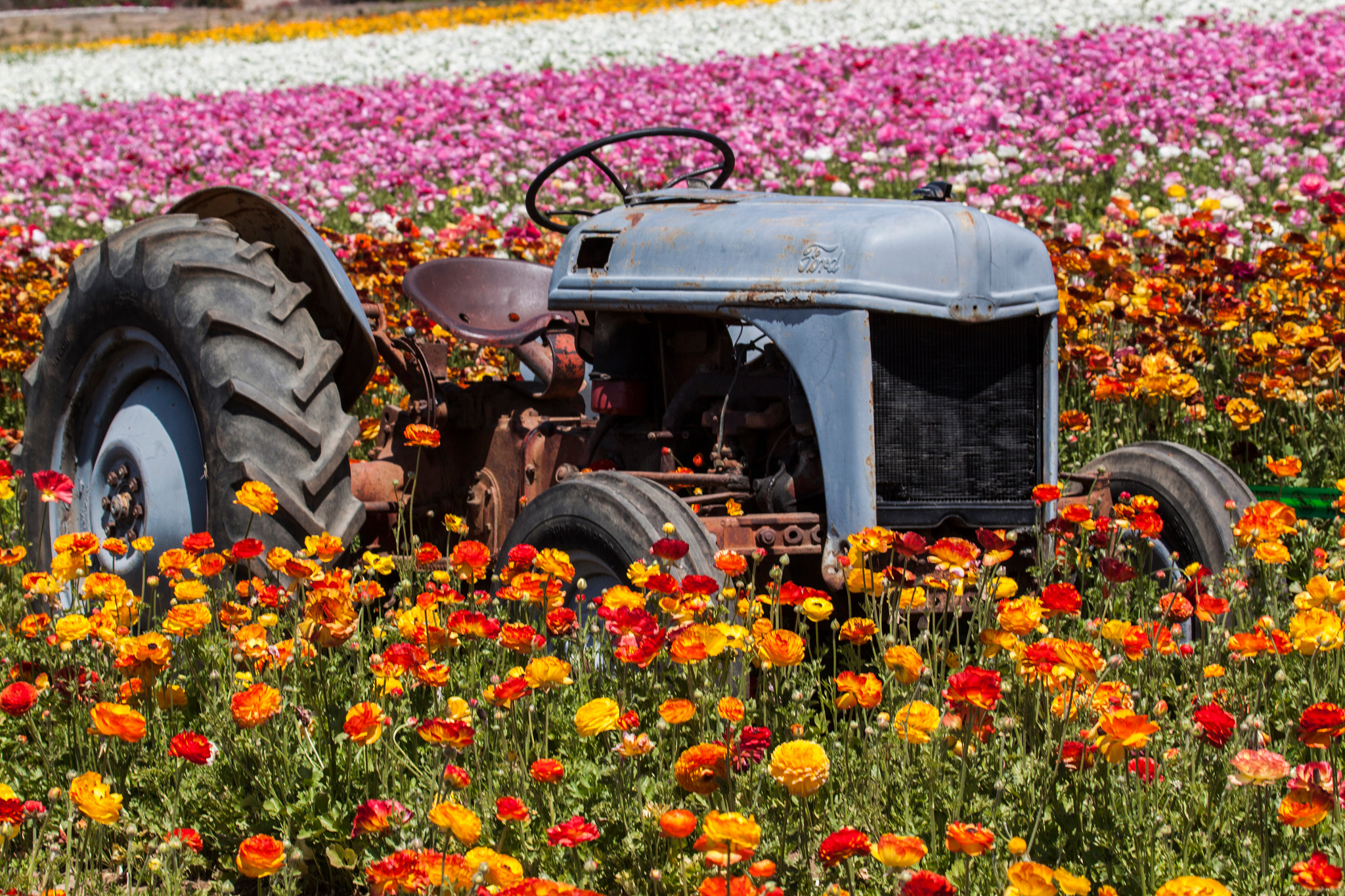 Canon EF 100-400mm F4.5-5.6L IS USM sample photo. Tractor in the fields photography