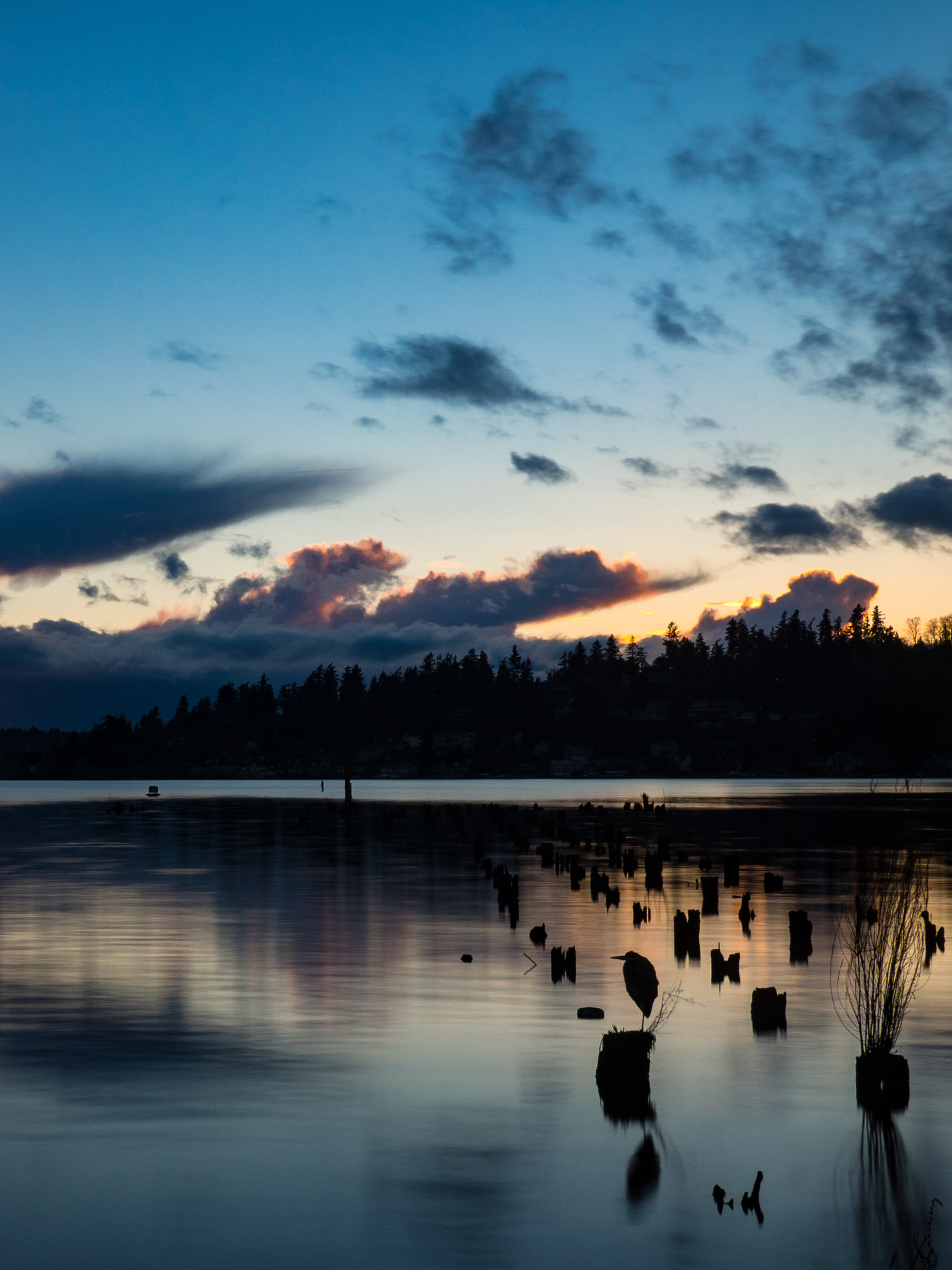 Olympus OM-D E-M5 II + Panasonic Lumix G 20mm F1.7 ASPH sample photo. Heron at sunset photography