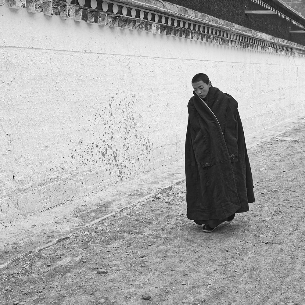 Sony Cyber-shot DSC-RX1R sample photo. Alone monk photography