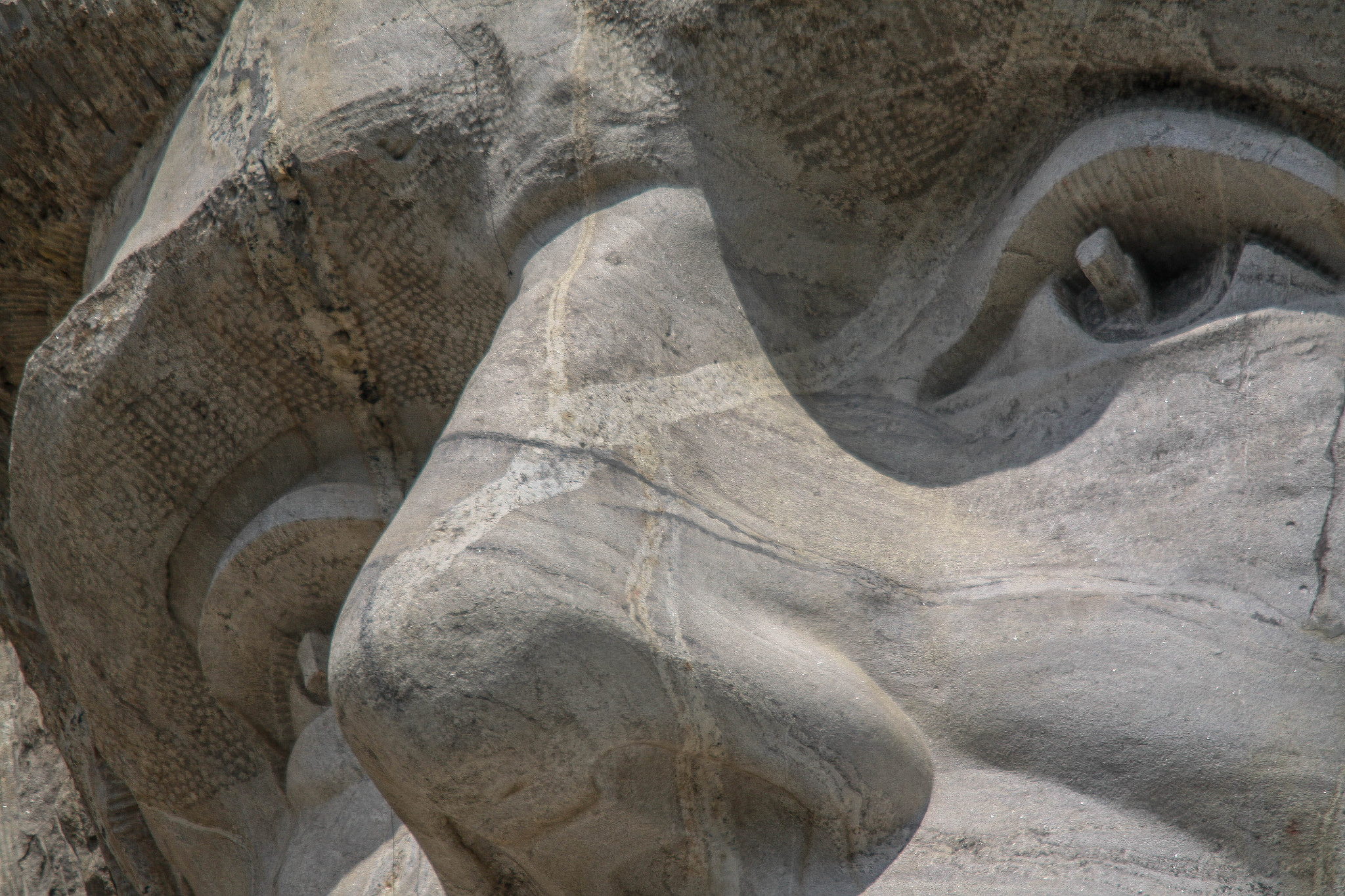 Sigma 150-500mm F5-6.3 DG OS HSM sample photo. The eyes of abraham photography