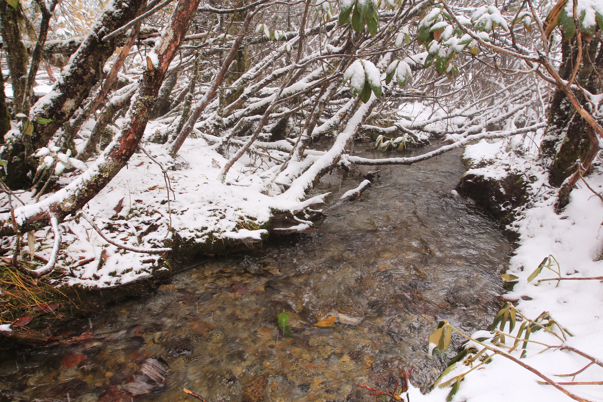 Canon EF 16-35mm F2.8L II USM sample photo. Lost horizon photography