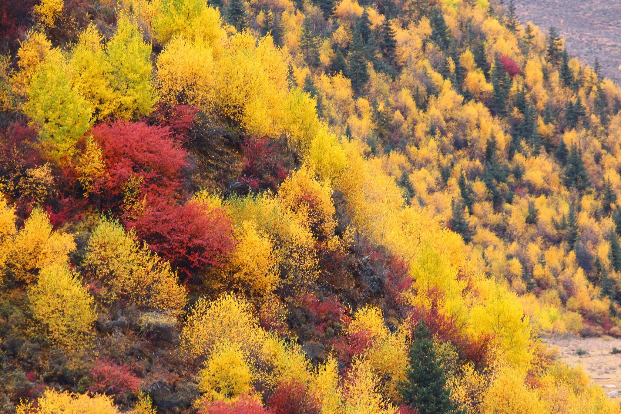 Canon EF 70-300mm F4-5.6L IS USM sample photo. Lost horizon photography