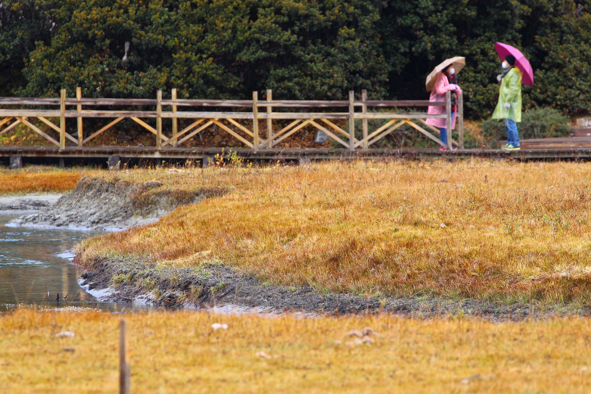 Canon EF 70-300mm F4-5.6L IS USM sample photo. Lost horizon photography
