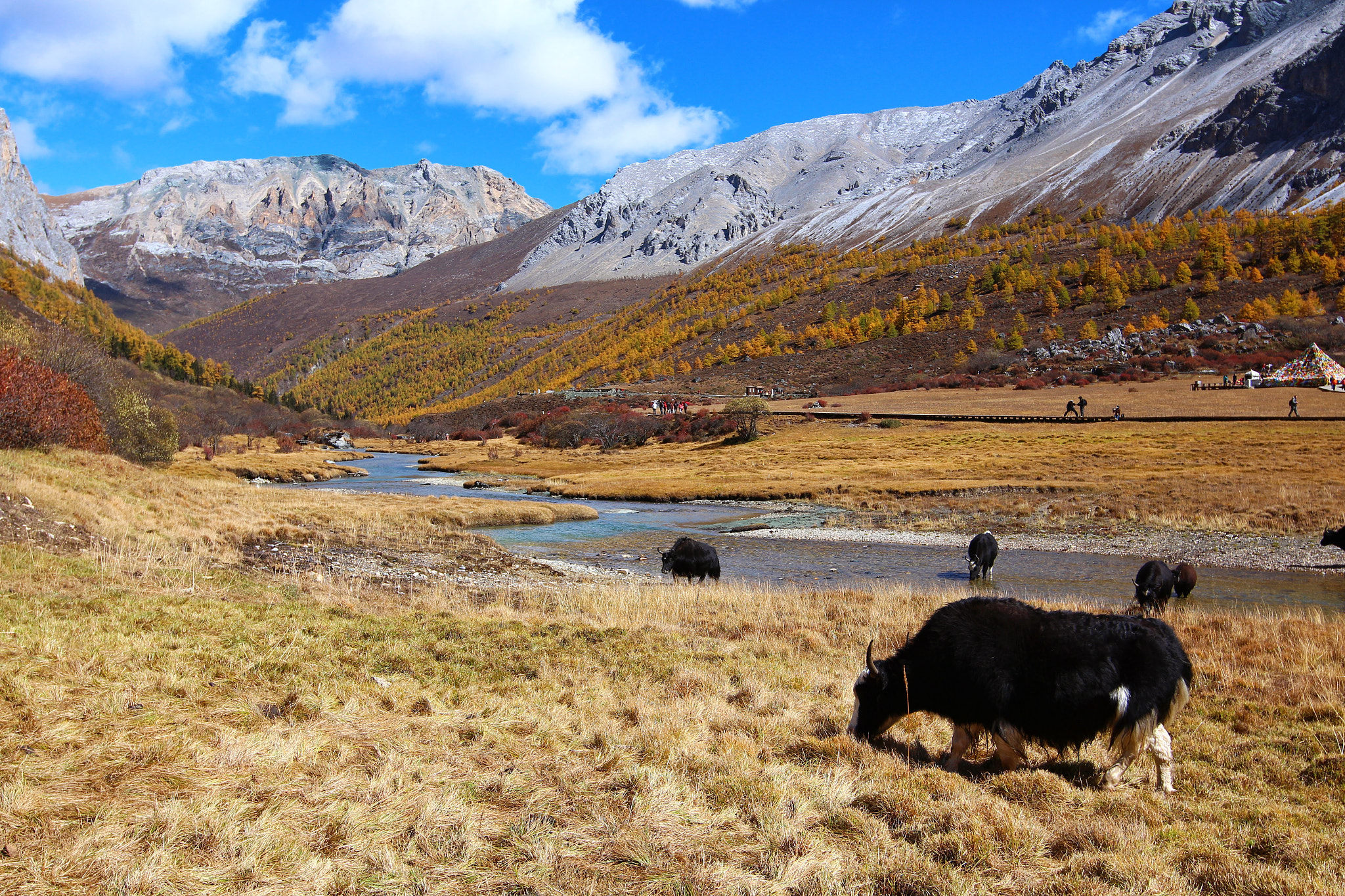 Canon EF 16-35mm F2.8L II USM sample photo. Lost horizon photography