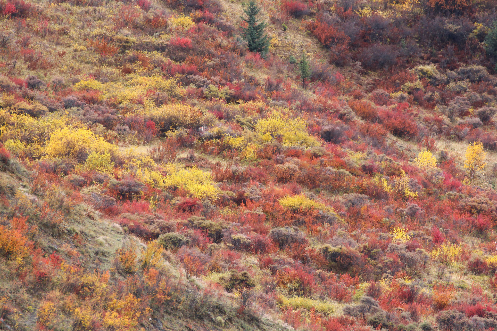 Canon EF 70-300mm F4-5.6L IS USM sample photo. Lost horizon photography