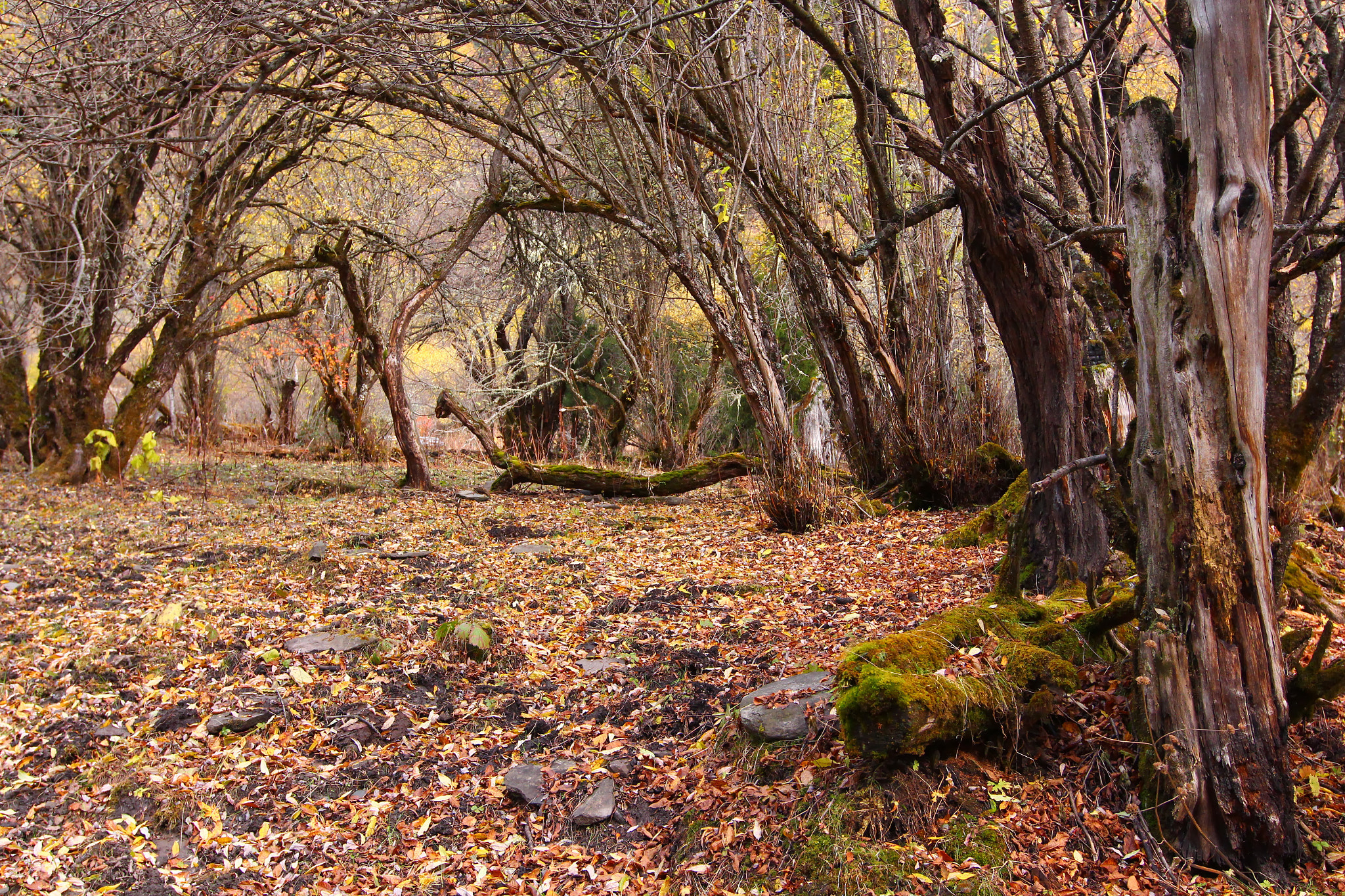 Canon EF 16-35mm F2.8L II USM sample photo. Lost horizon photography