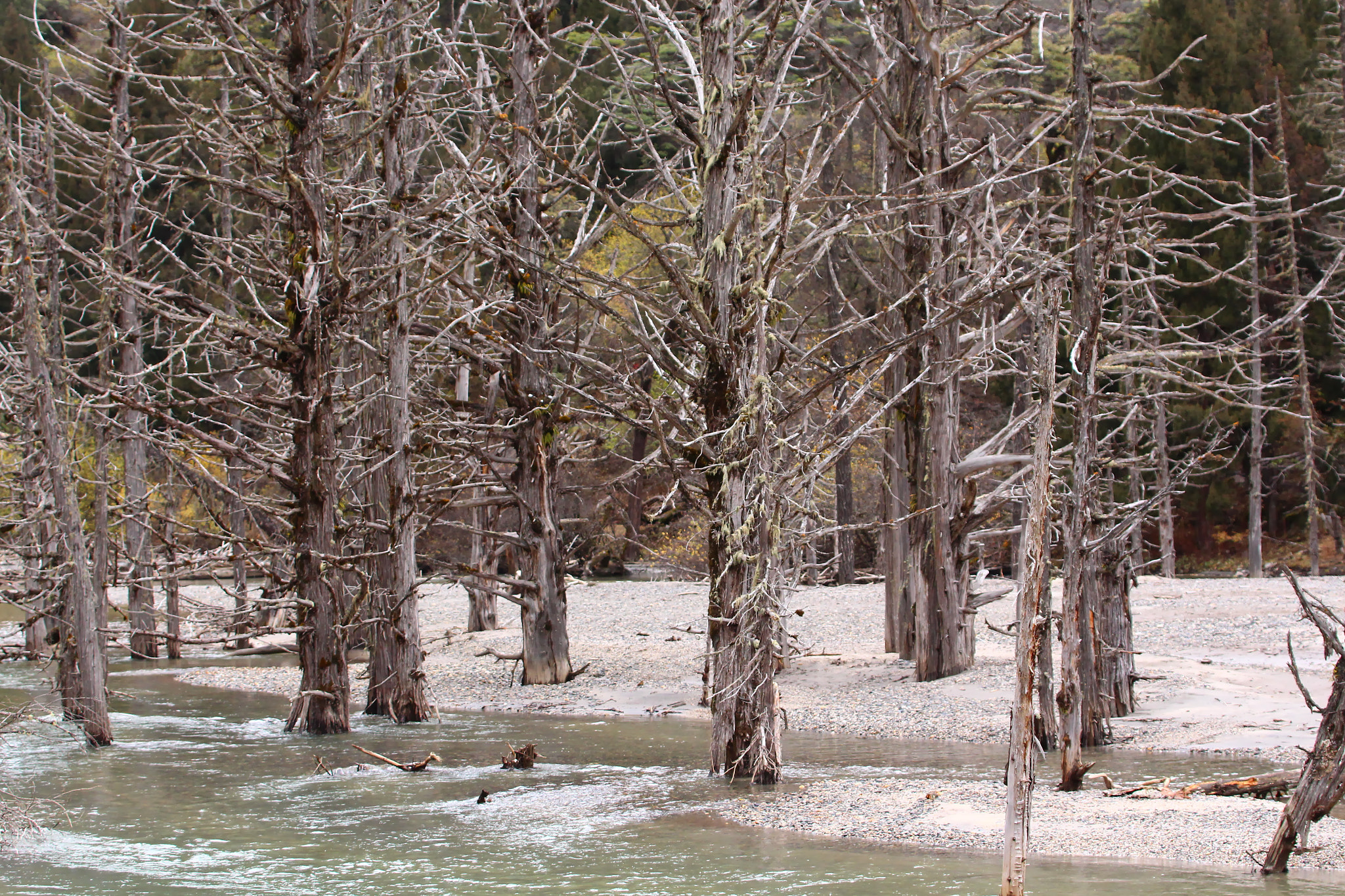 Canon EF 70-300mm F4-5.6L IS USM sample photo. Lost horizon photography