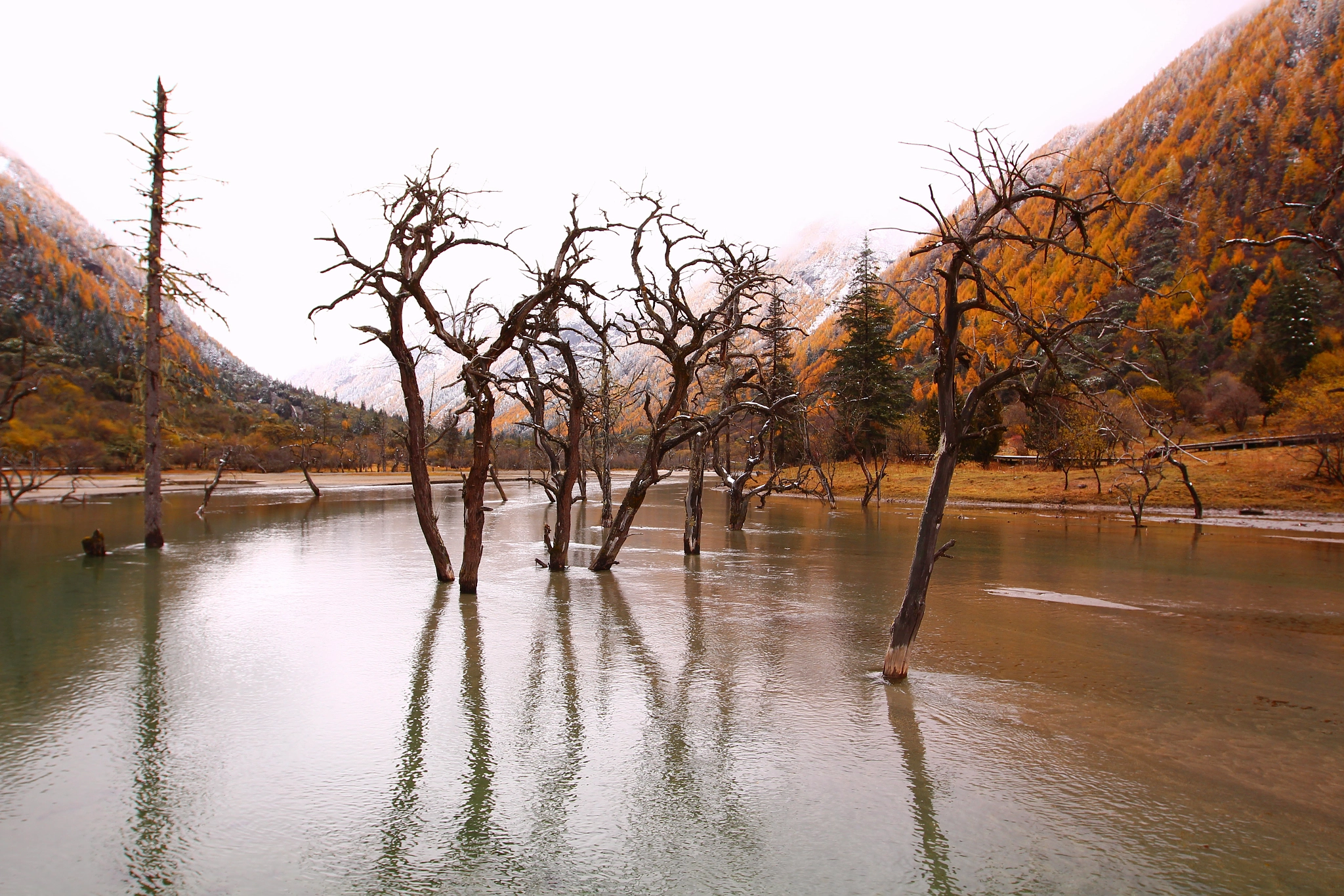 Canon EF 16-35mm F2.8L II USM sample photo. Lost horizon photography
