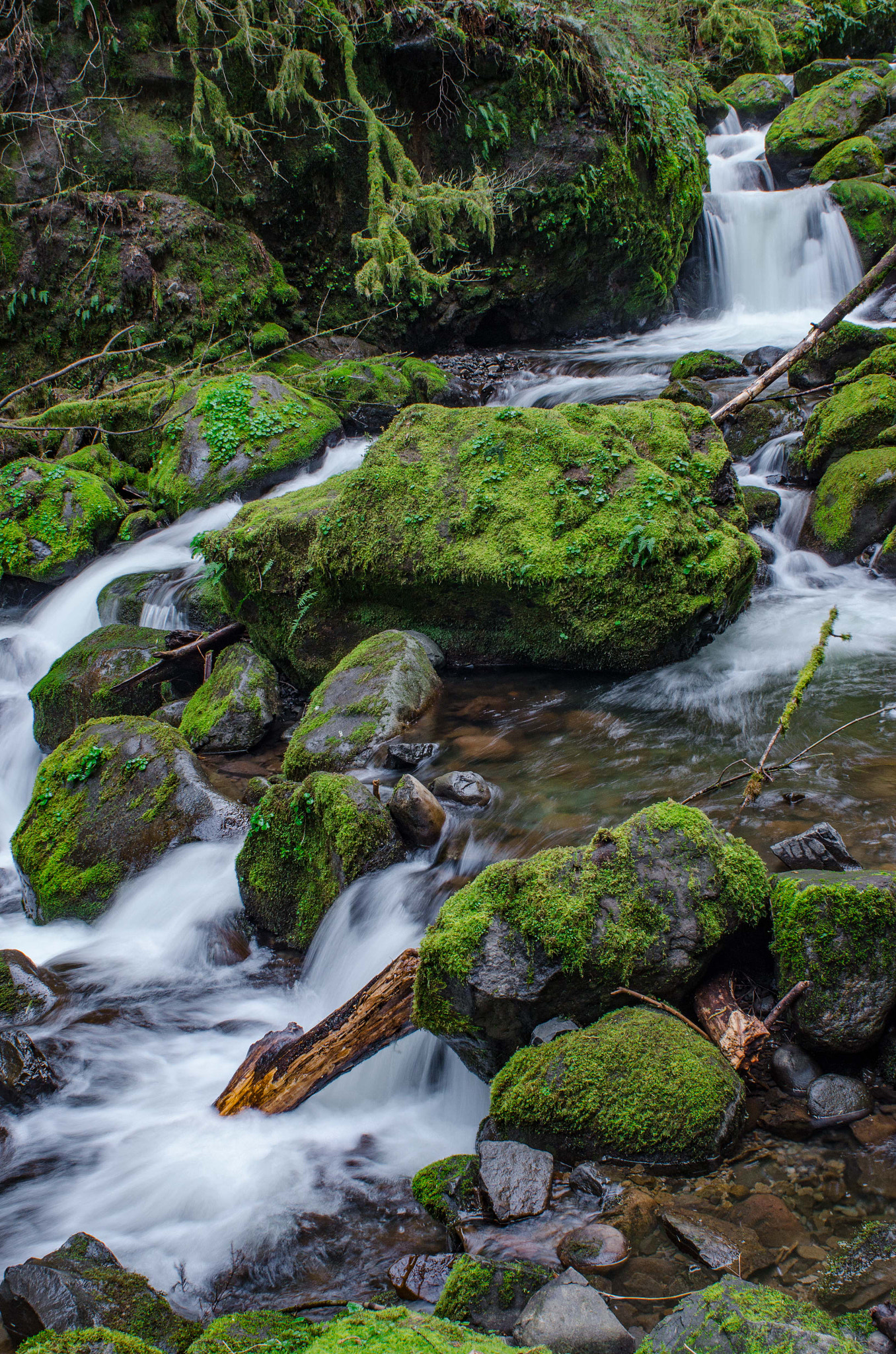 Nikon D7000 + AF Nikkor 28mm f/2.8 sample photo. Zen garden photography