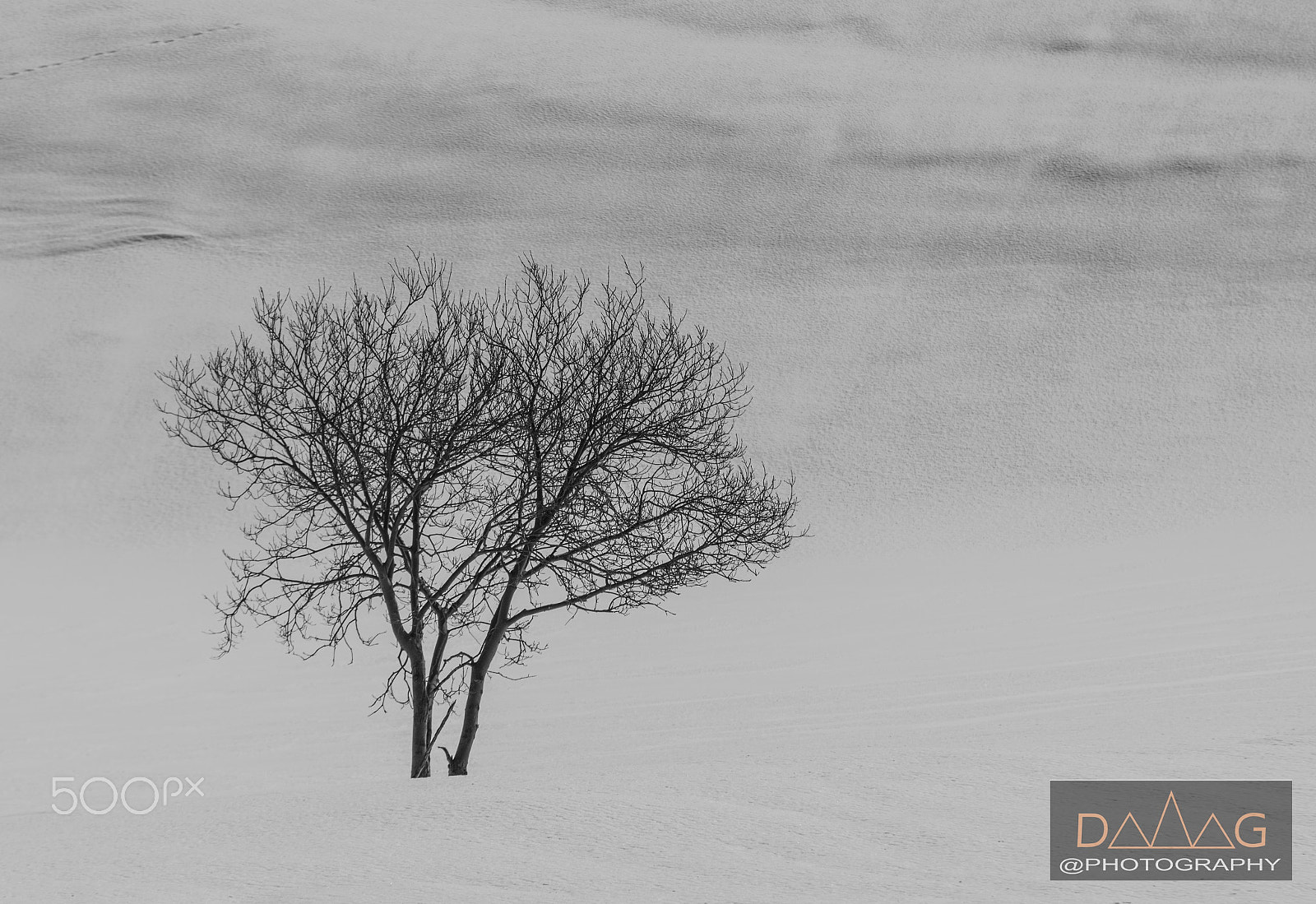 Sony ILCA-77M2 + 70-200mm F2.8 sample photo. Alone... photography