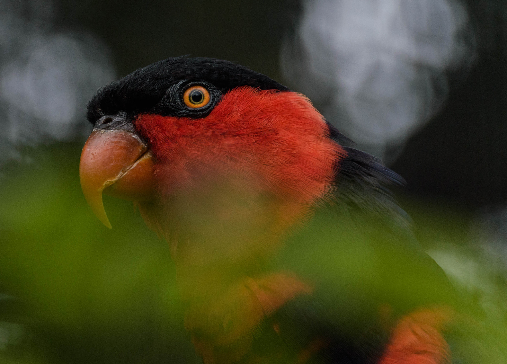 Sigma 18-250mm F3.5-6.3 DC Macro OS HSM sample photo. Who are you looking at photography