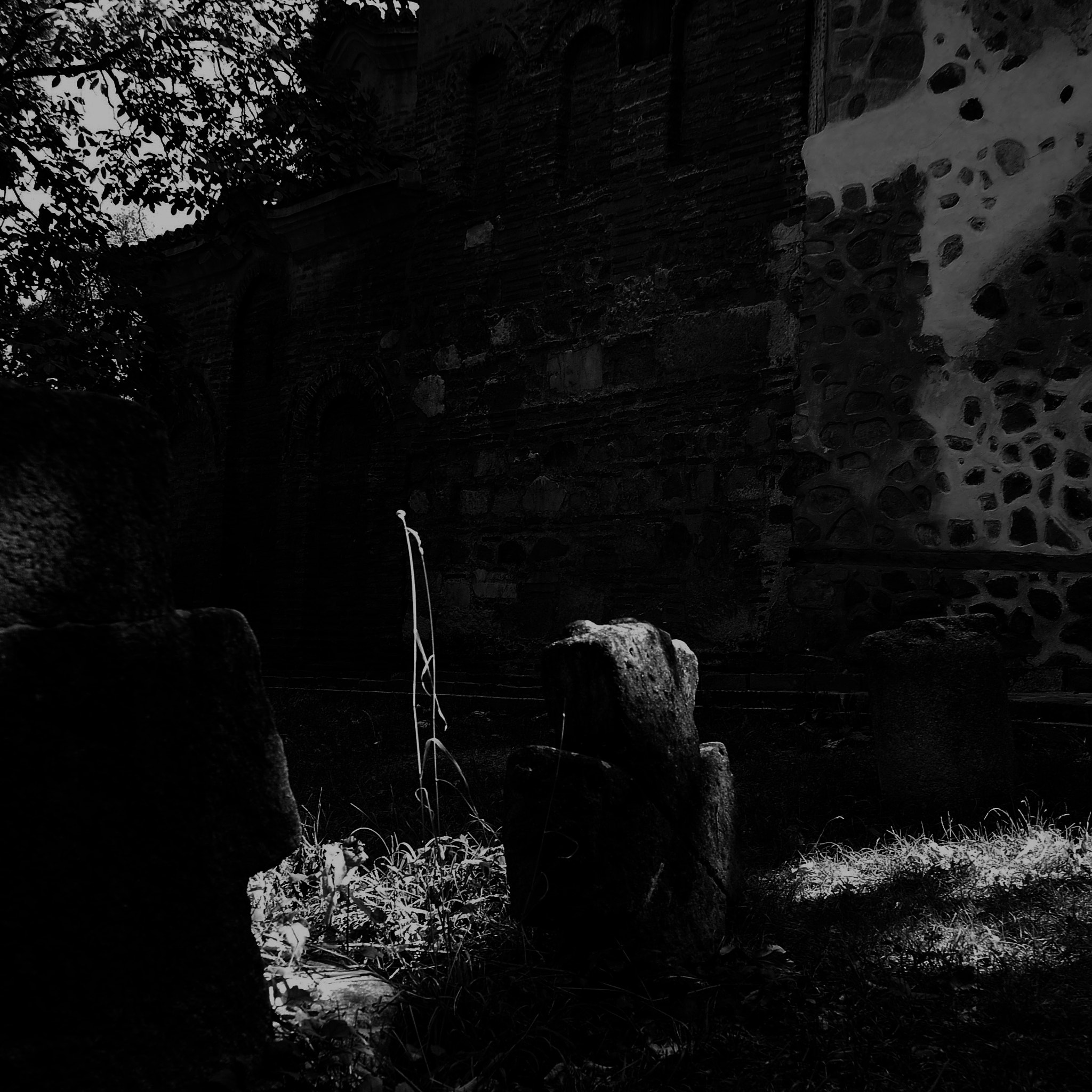 Panasonic Lumix DMC-GF2 sample photo. One and only photography