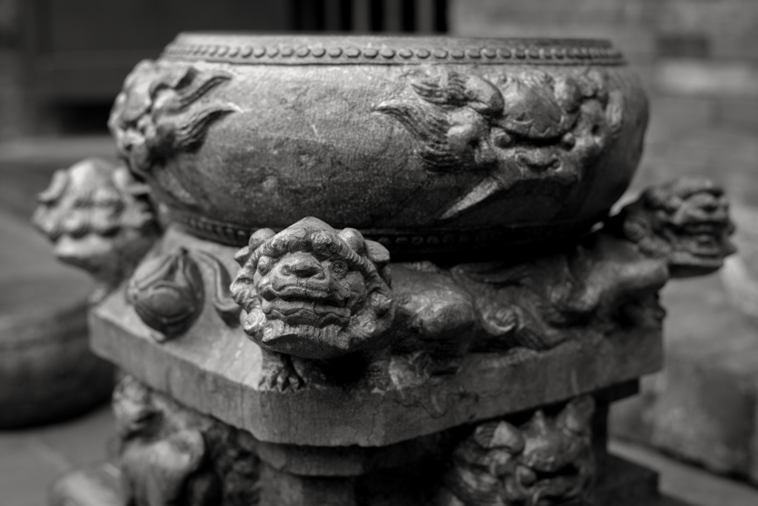 Summilux-M 1:1.4/50 sample photo