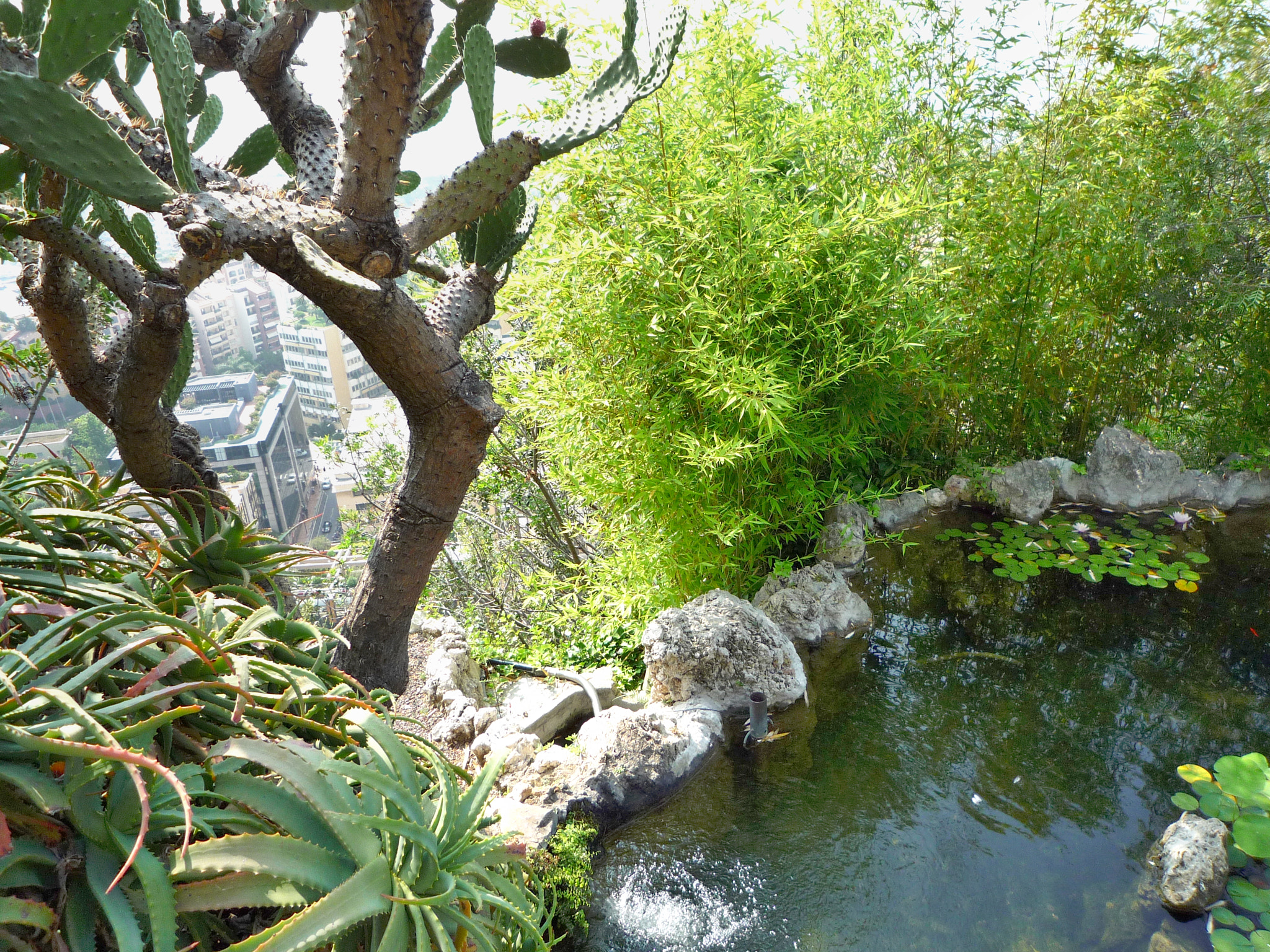 Panasonic DMC-FX35 sample photo. Pond photography