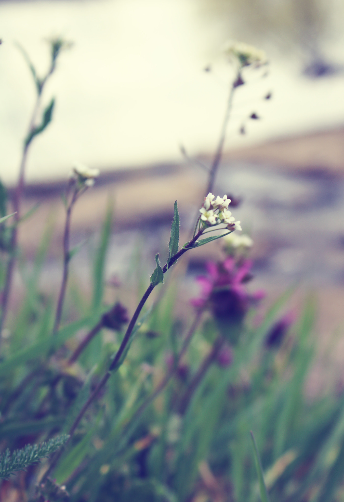 Canon EOS 750D (EOS Rebel T6i / EOS Kiss X8i) sample photo