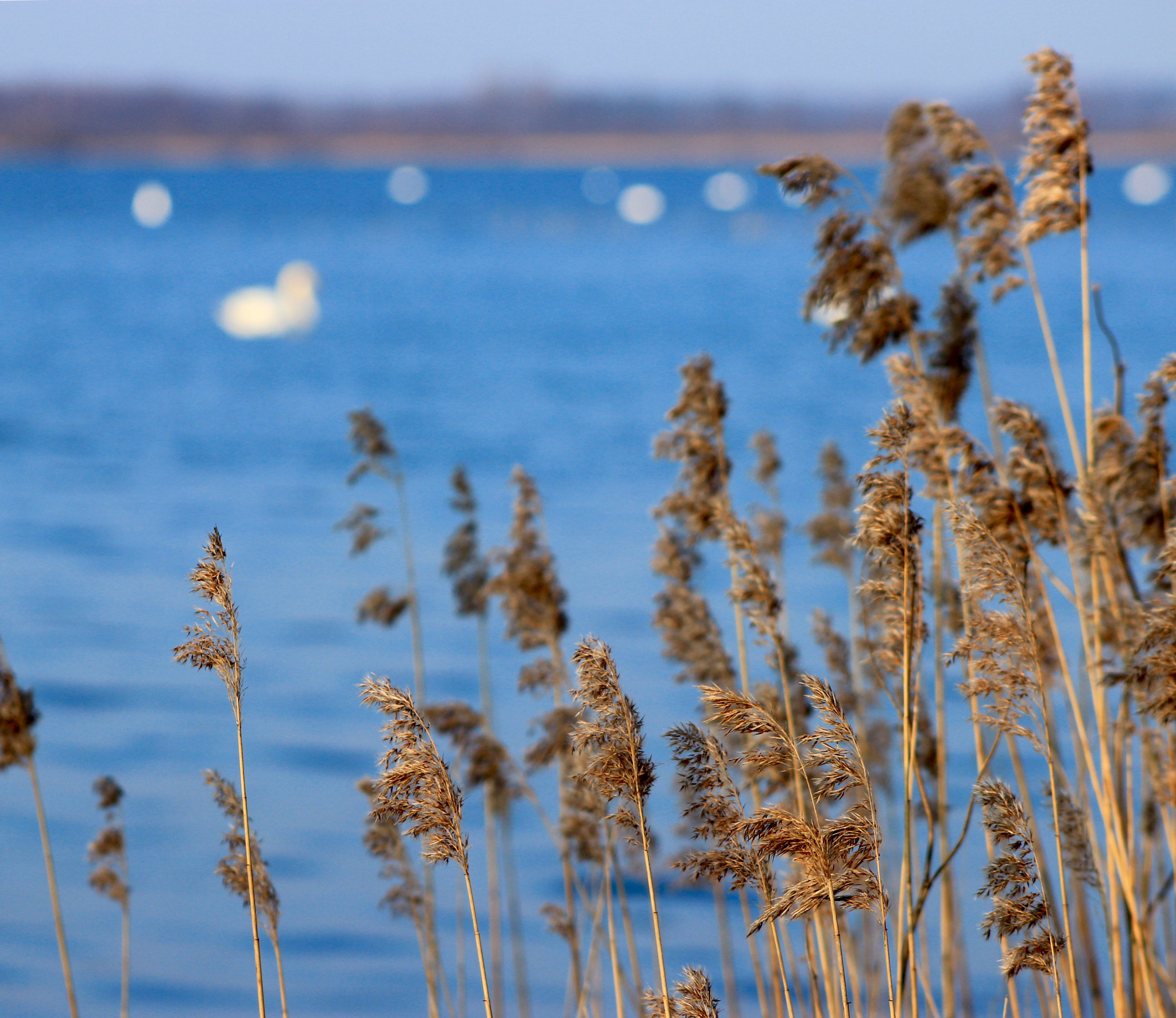Canon EF75-300mm f/4-5.6 sample photo. Sunny day by the lake. photography